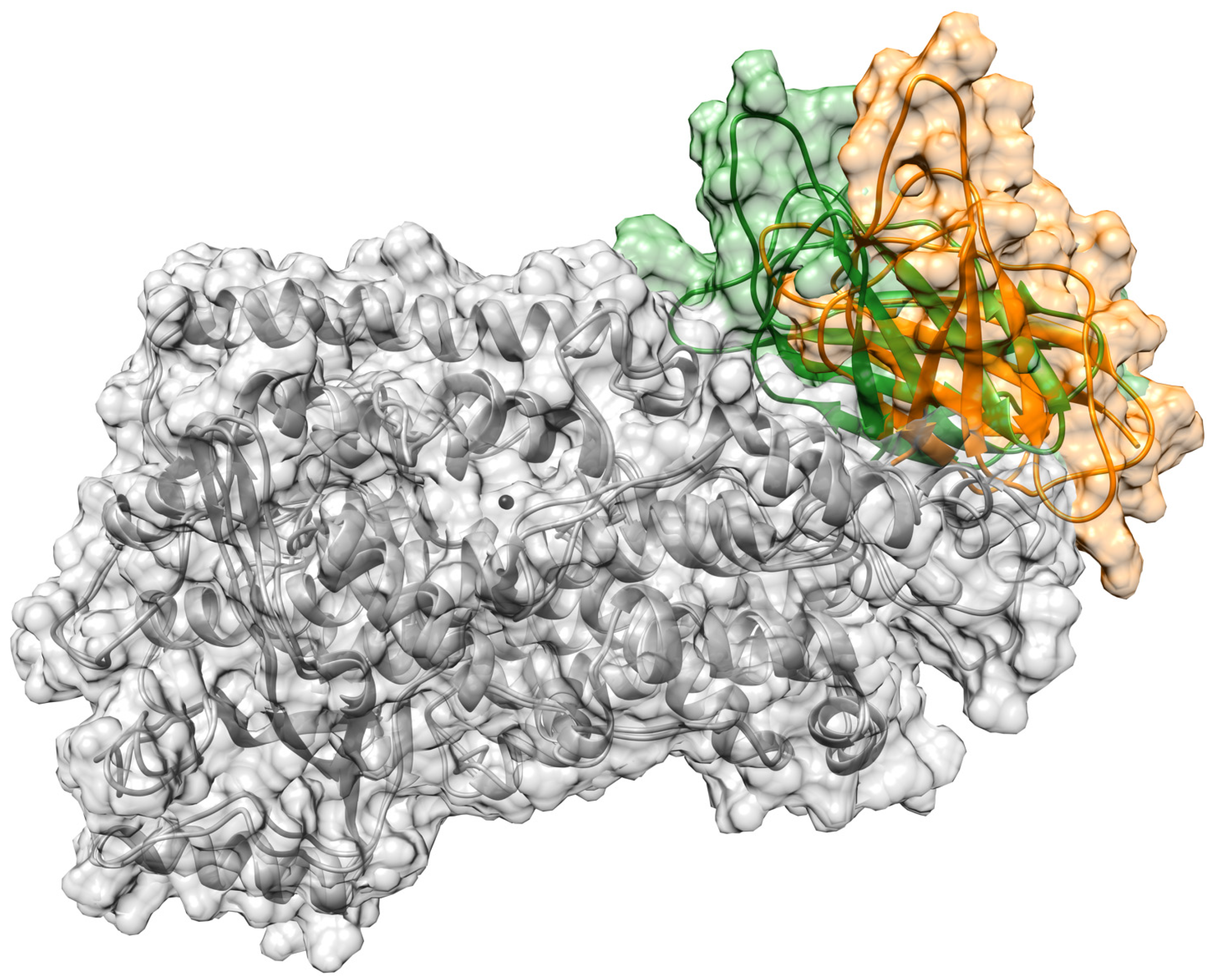 Ijms 24 06064 g002 Ijms 24 06064 g002