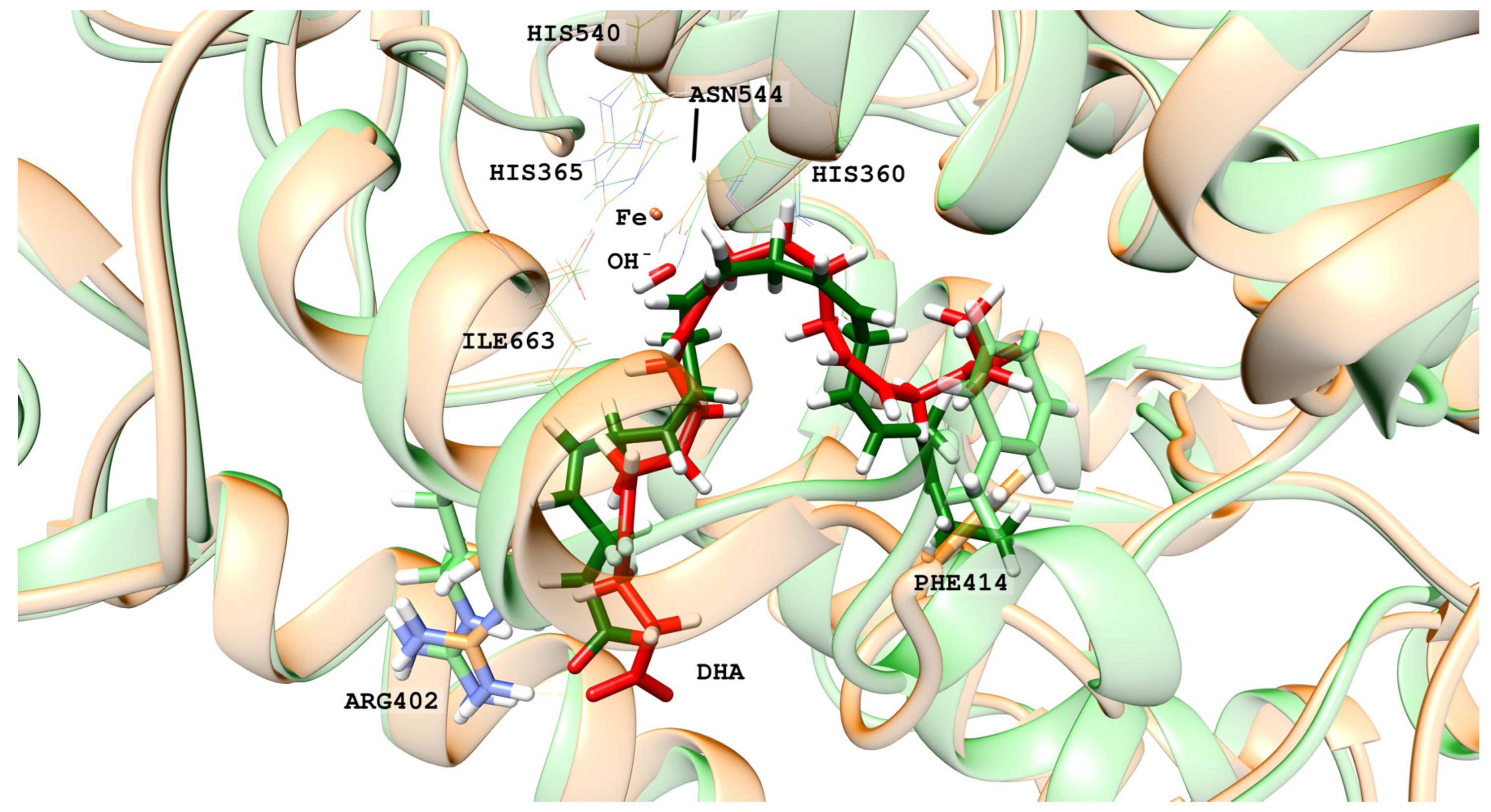 Ijms 24 06064 g003 Ijms 24 06064 g003