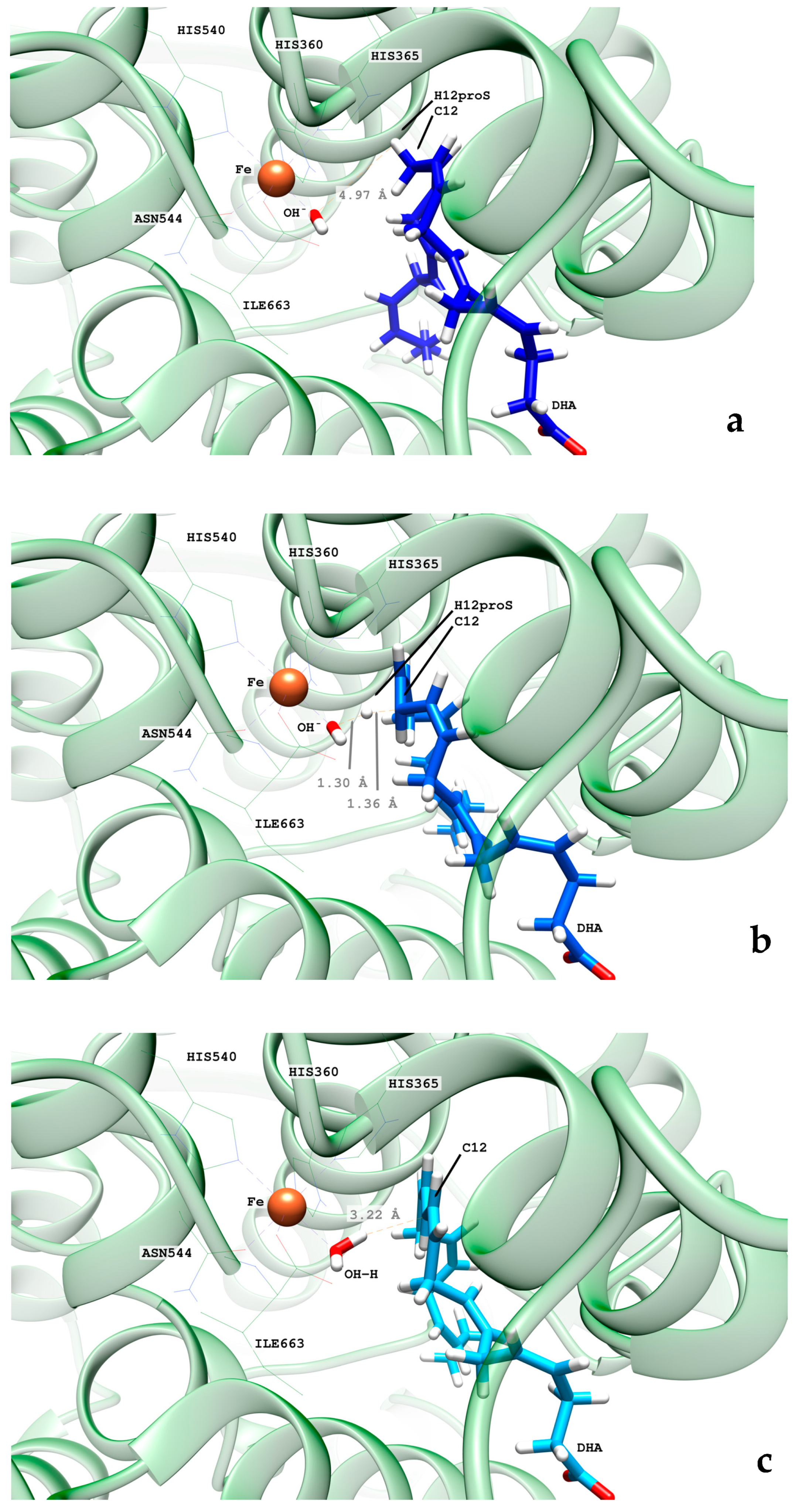 Ijms 24 06064 g012 Ijms 24 06064 g012
