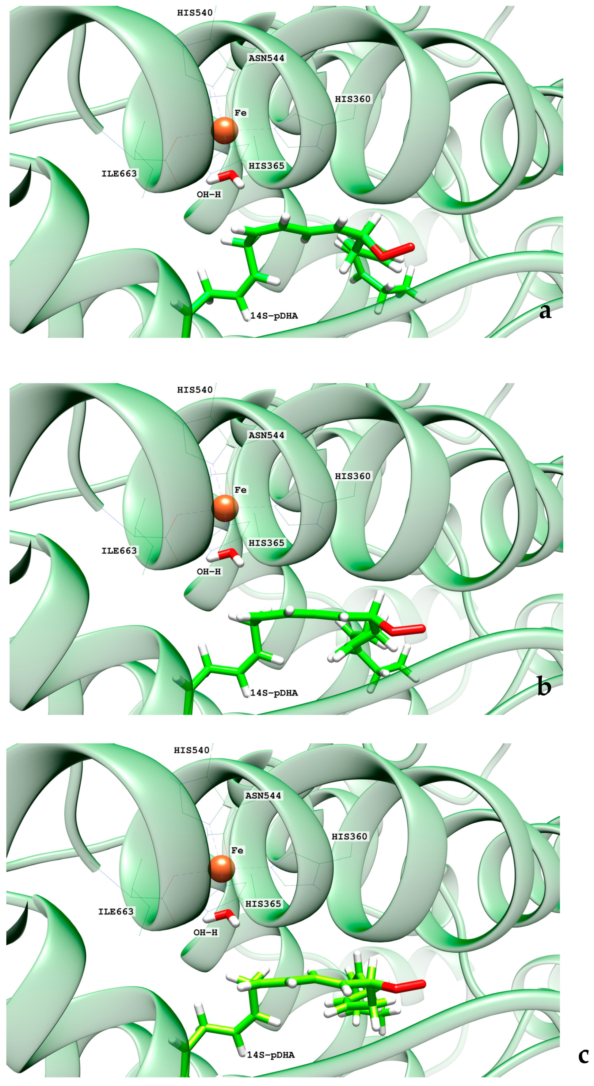 Ijms 24 06064 g014 Ijms 24 06064 g014