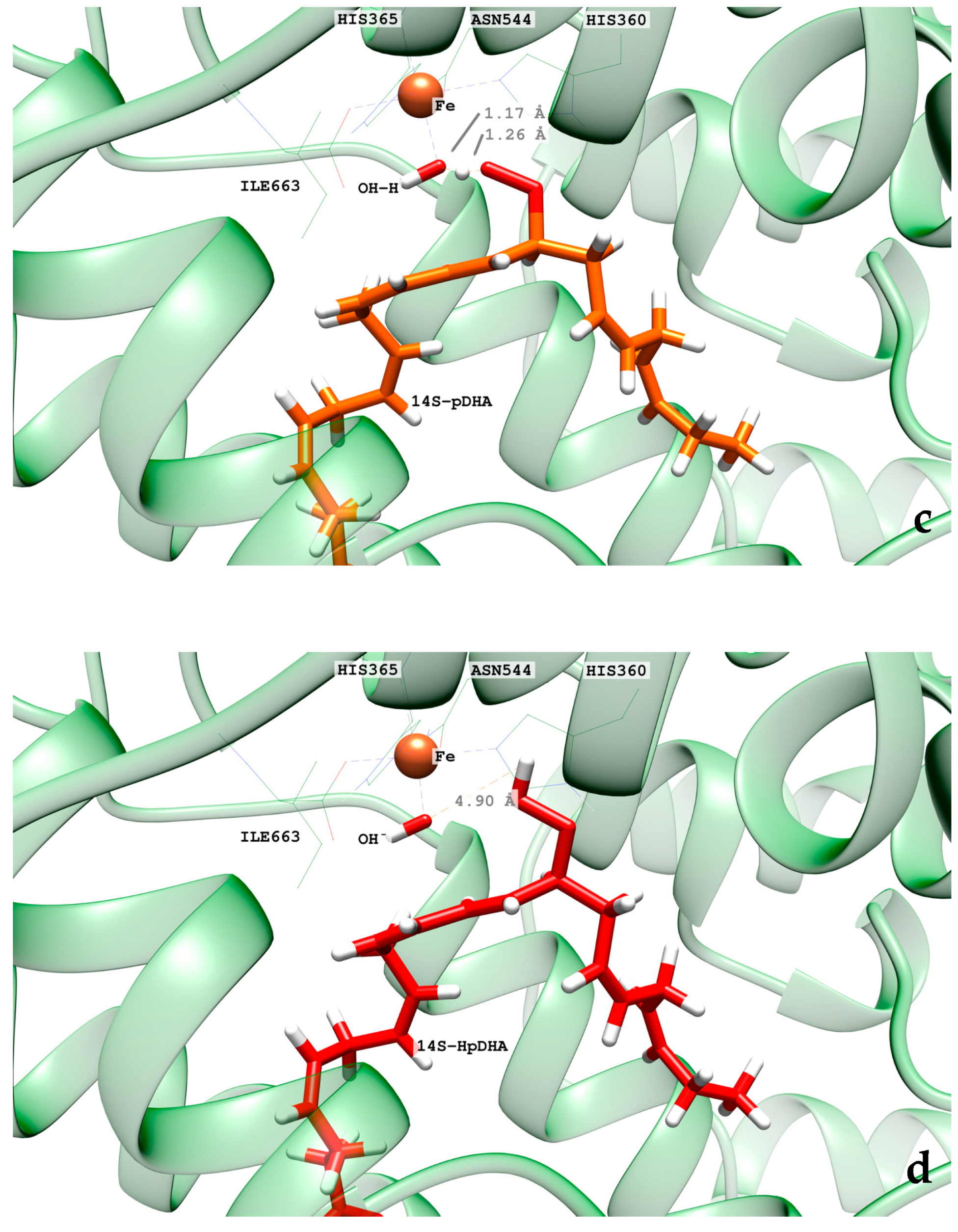 Ijms 24 06064 g015b Ijms 24 06064 g015b