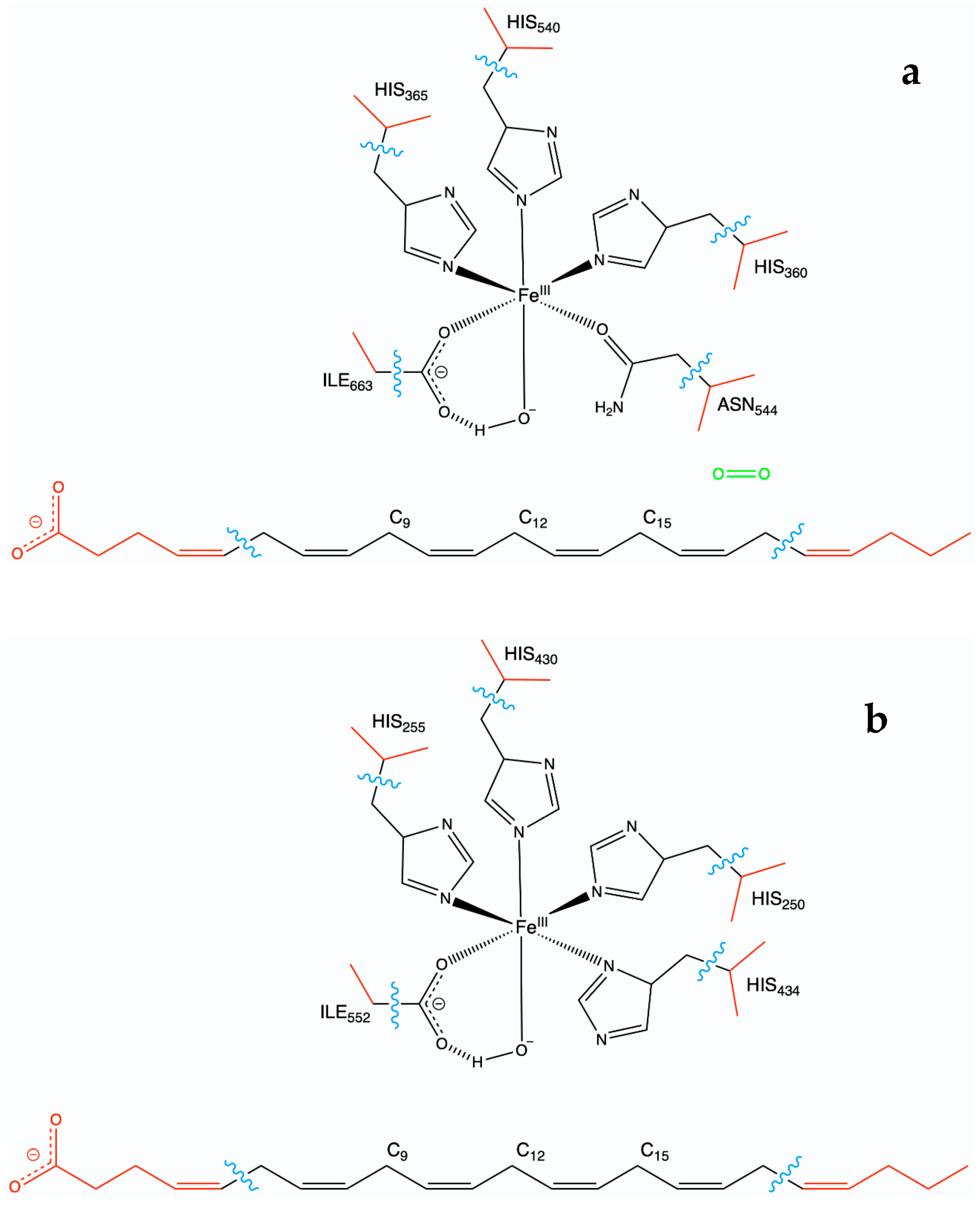 Ijms 24 06064 g021 Ijms 24 06064 g021
