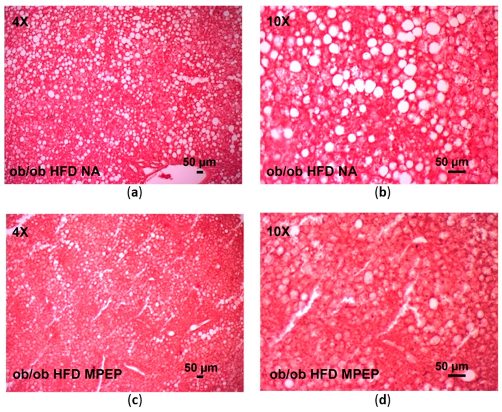 Ijms 24 06076 g001 Ijms 24 06076 g001