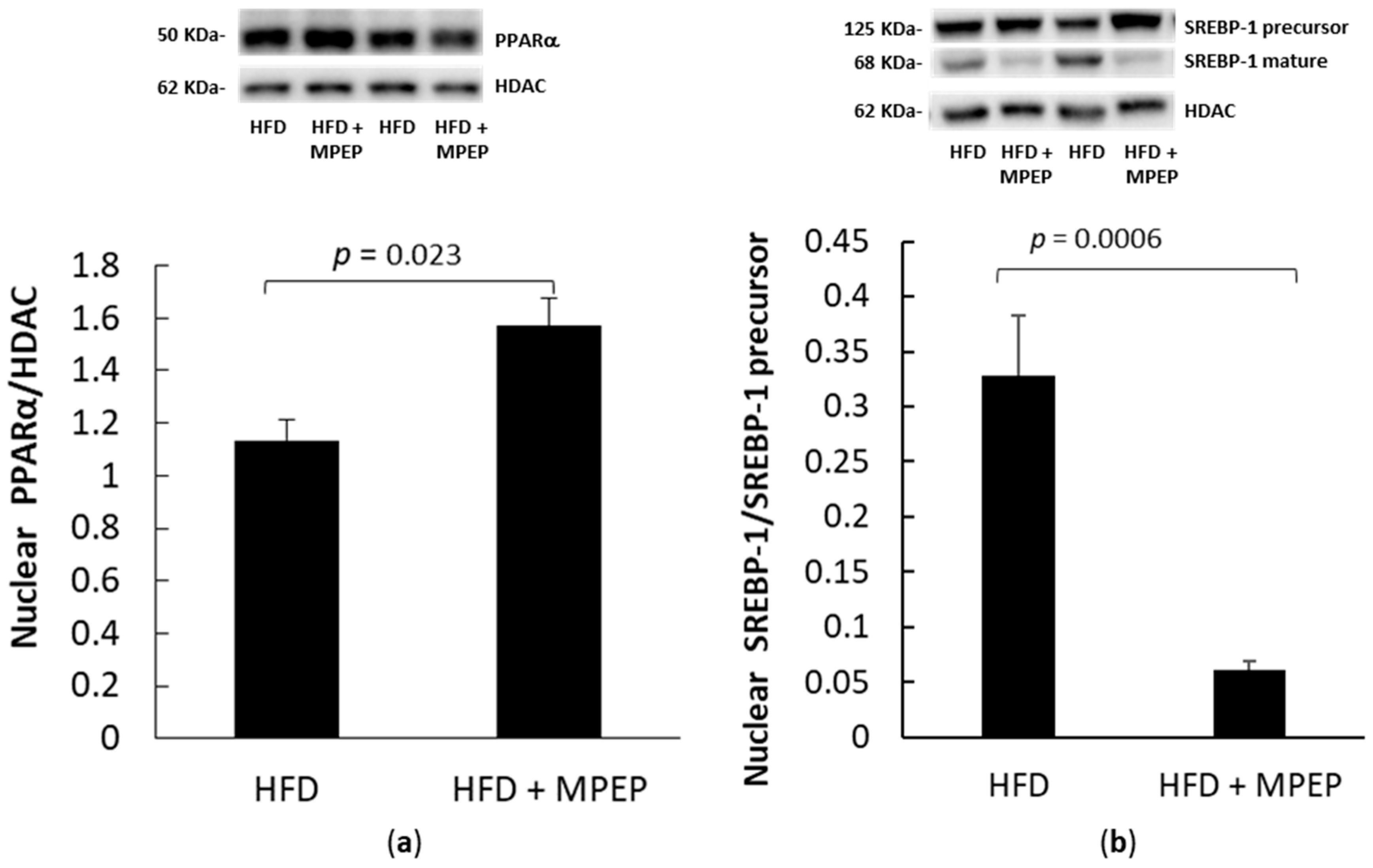 Ijms 24 06076 g004 Ijms 24 06076 g004