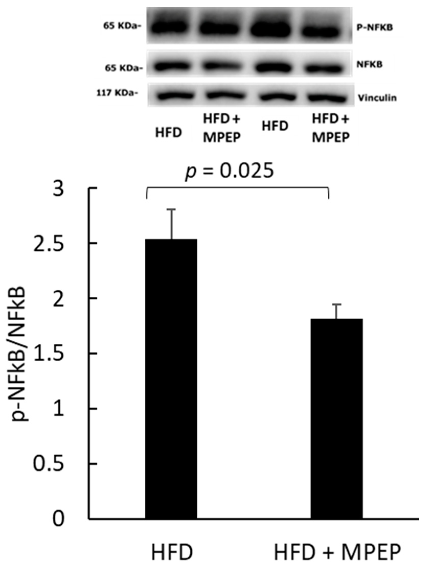 Ijms 24 06076 g009 Ijms 24 06076 g009
