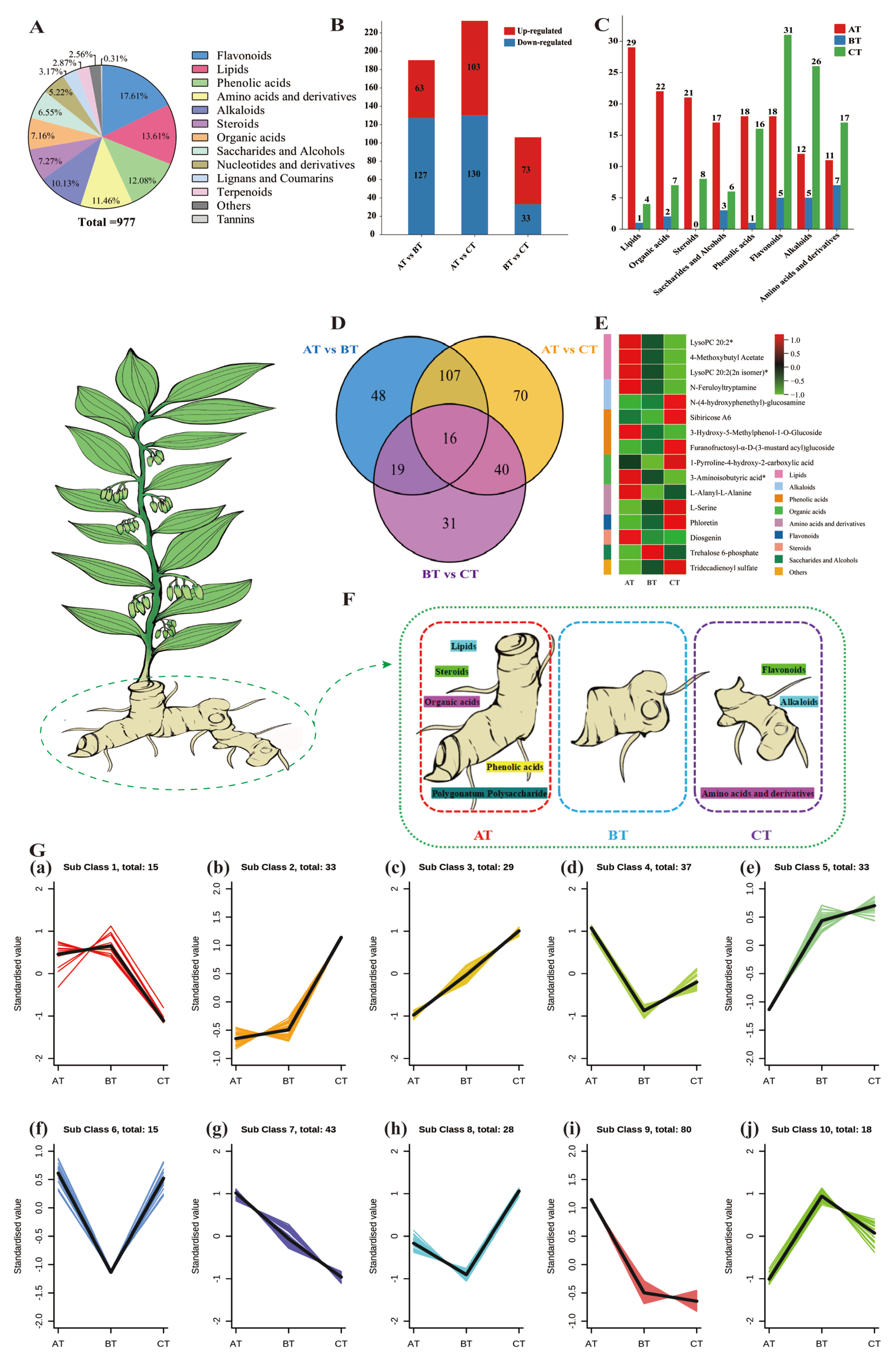 Ijms 24 06077 g004 Ijms 24 06077 g004