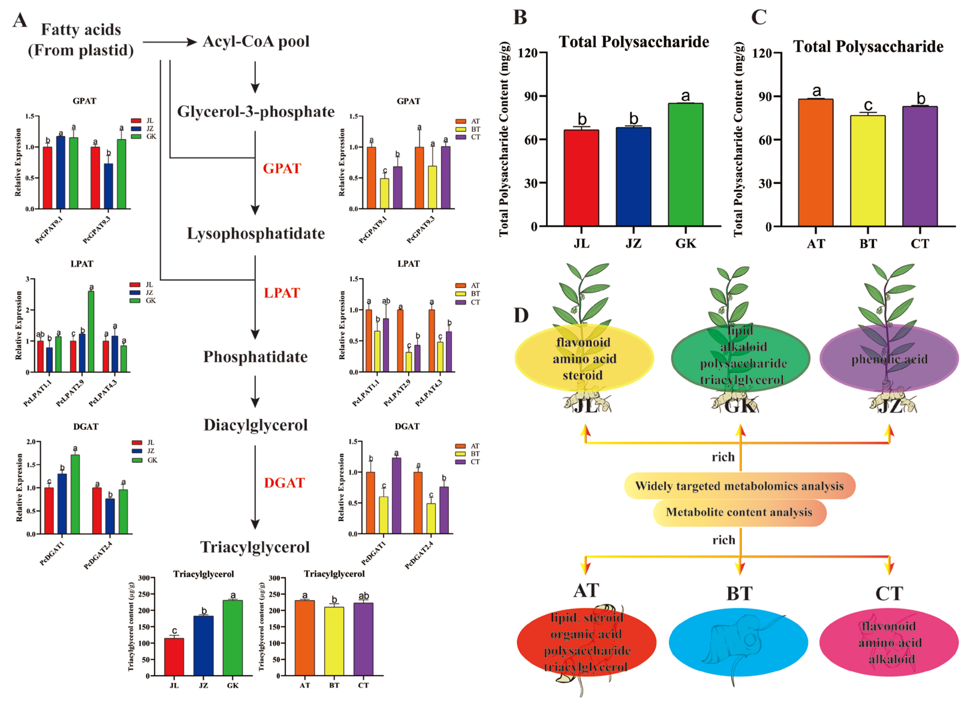 Ijms 24 06077 g006 Ijms 24 06077 g006