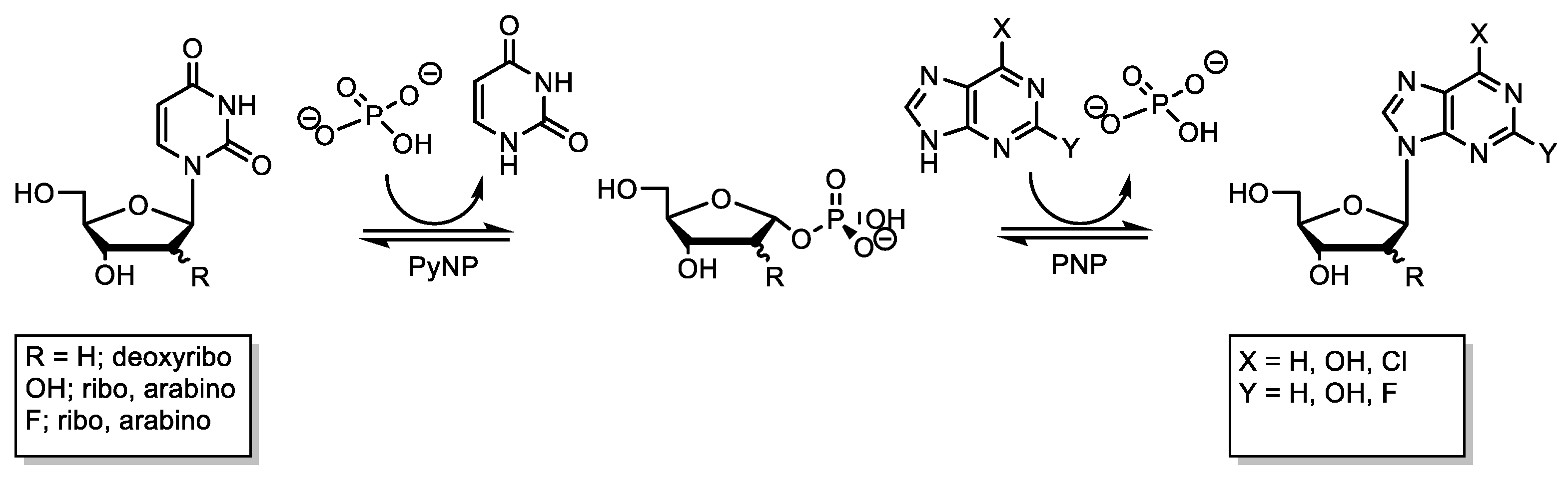 Ijms 24 06081 g001 Ijms 24 06081 g001
