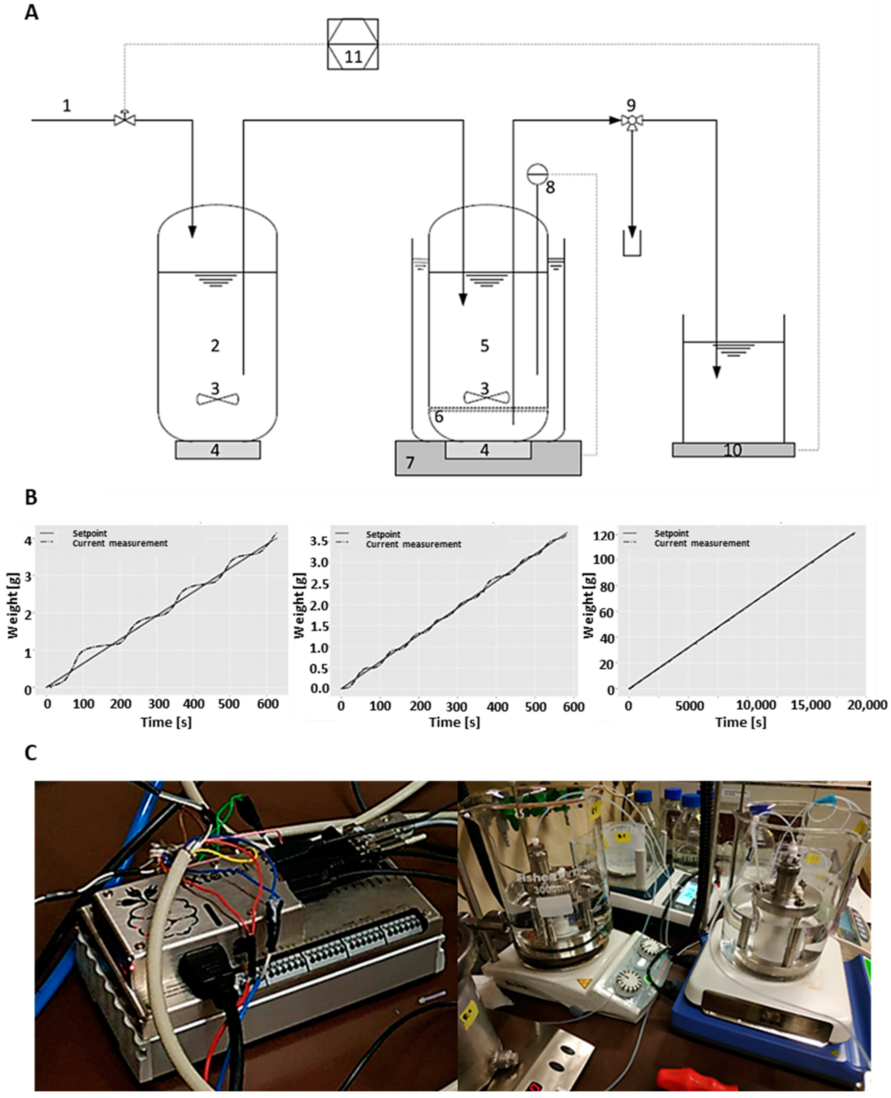 Ijms 24 06081 g002 Ijms 24 06081 g002
