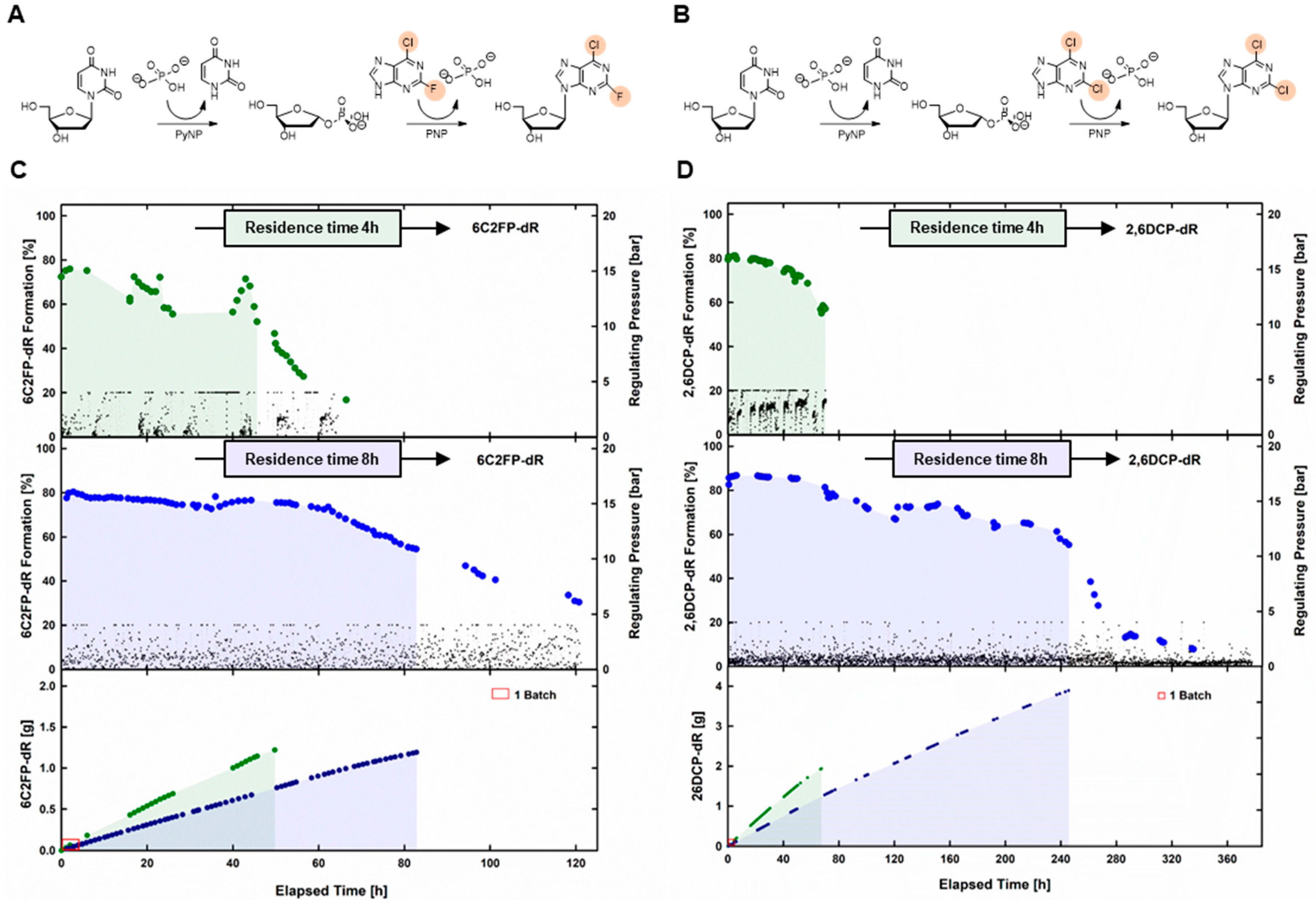 Ijms 24 06081 g004 Ijms 24 06081 g004