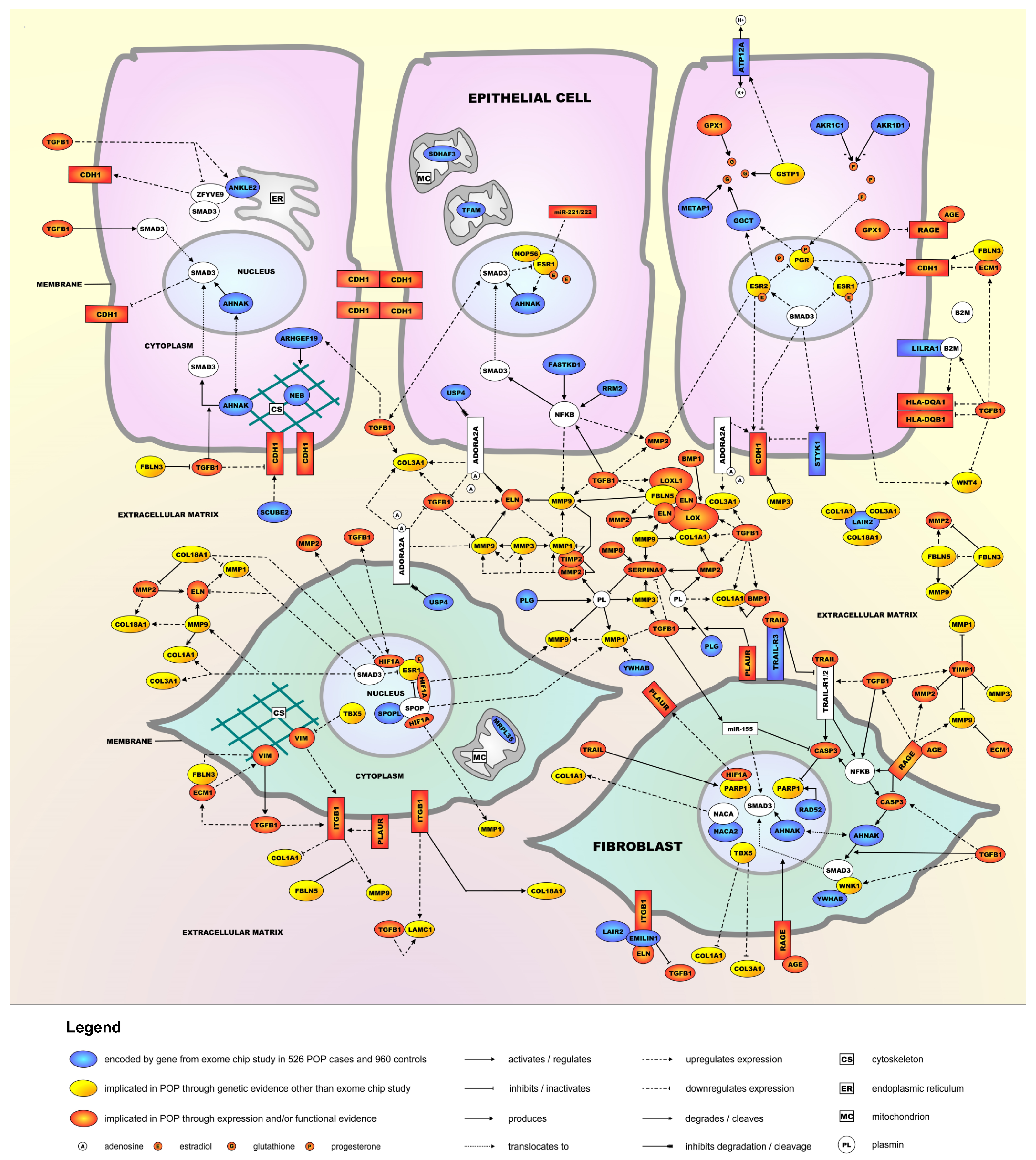 Ijms 24 06087 g001 Ijms 24 06087 g001