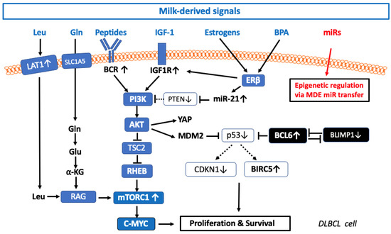 https://www.mdpi.com/ijms/ijms-24-06102/article_deploy/html/images/ijms-24-06102-g001-550.jpg