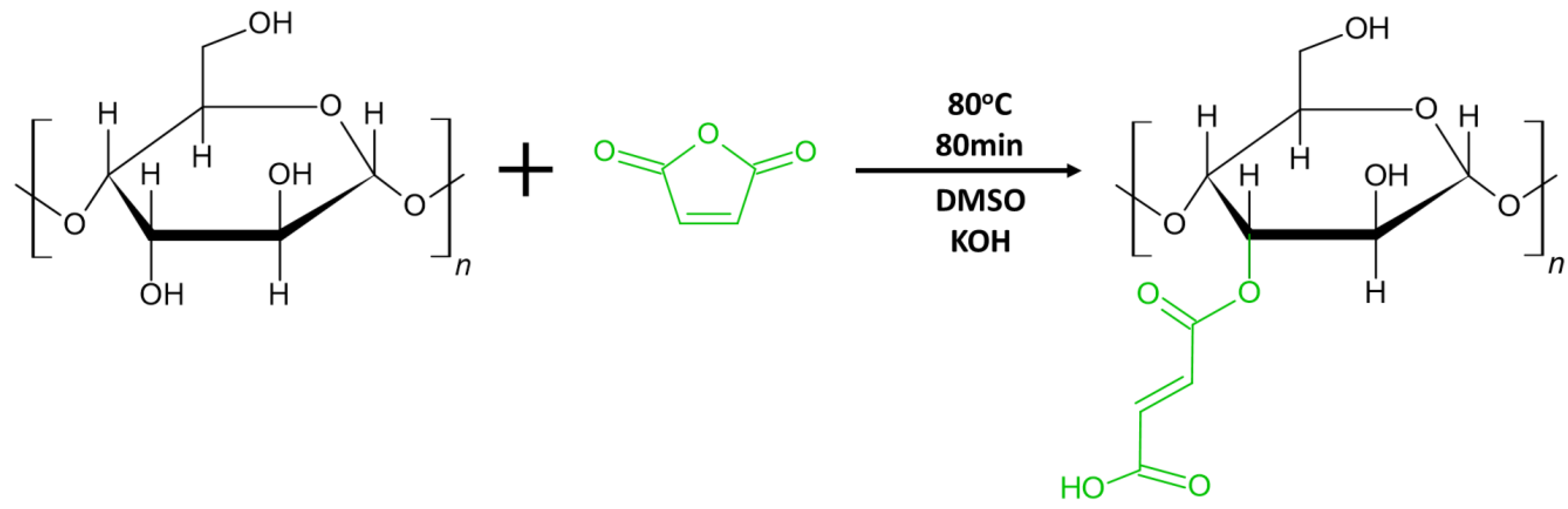 Ijms 24 06103 g002
