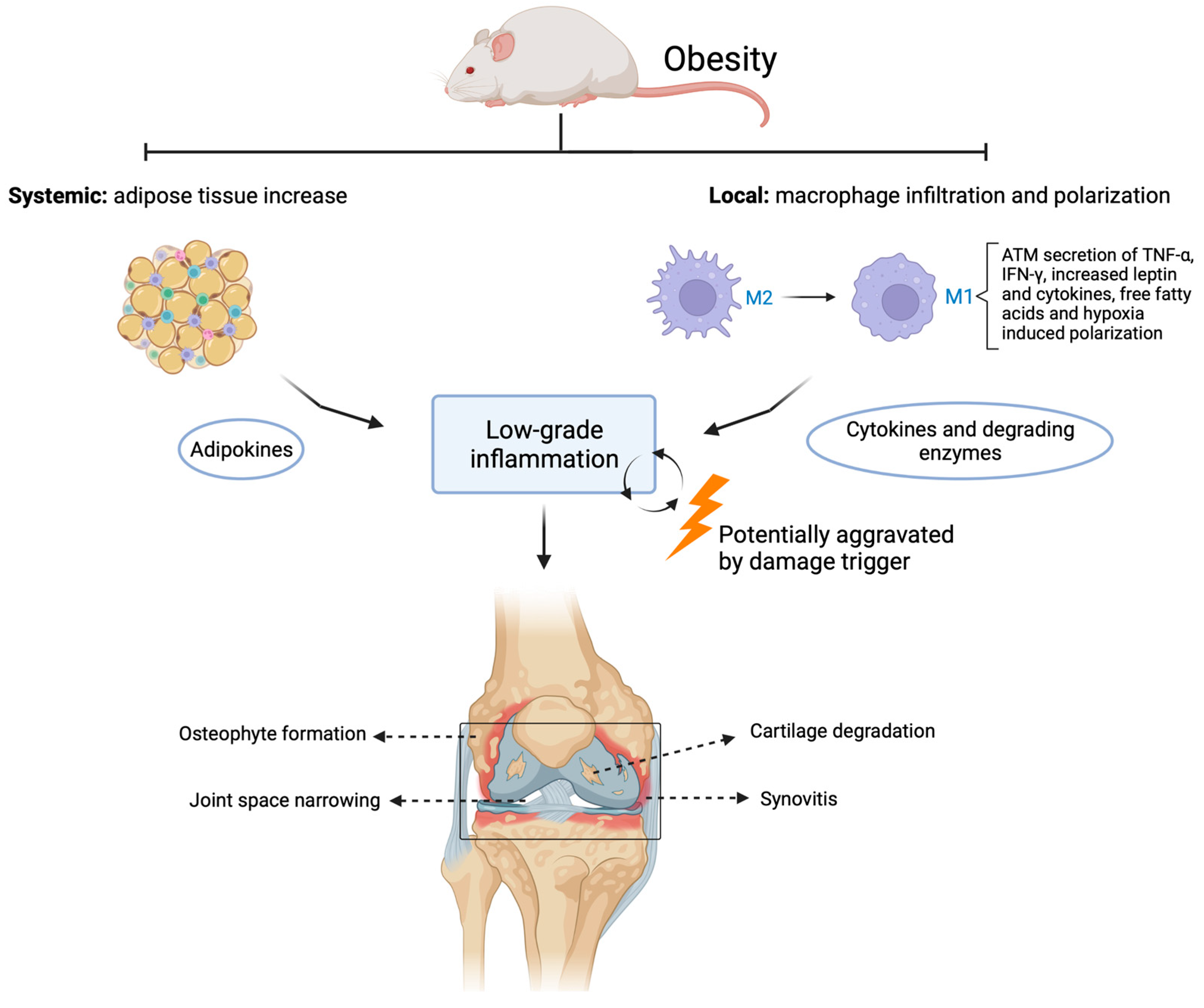 Ijms 24 06112 g001 Ijms 24 06112 g001