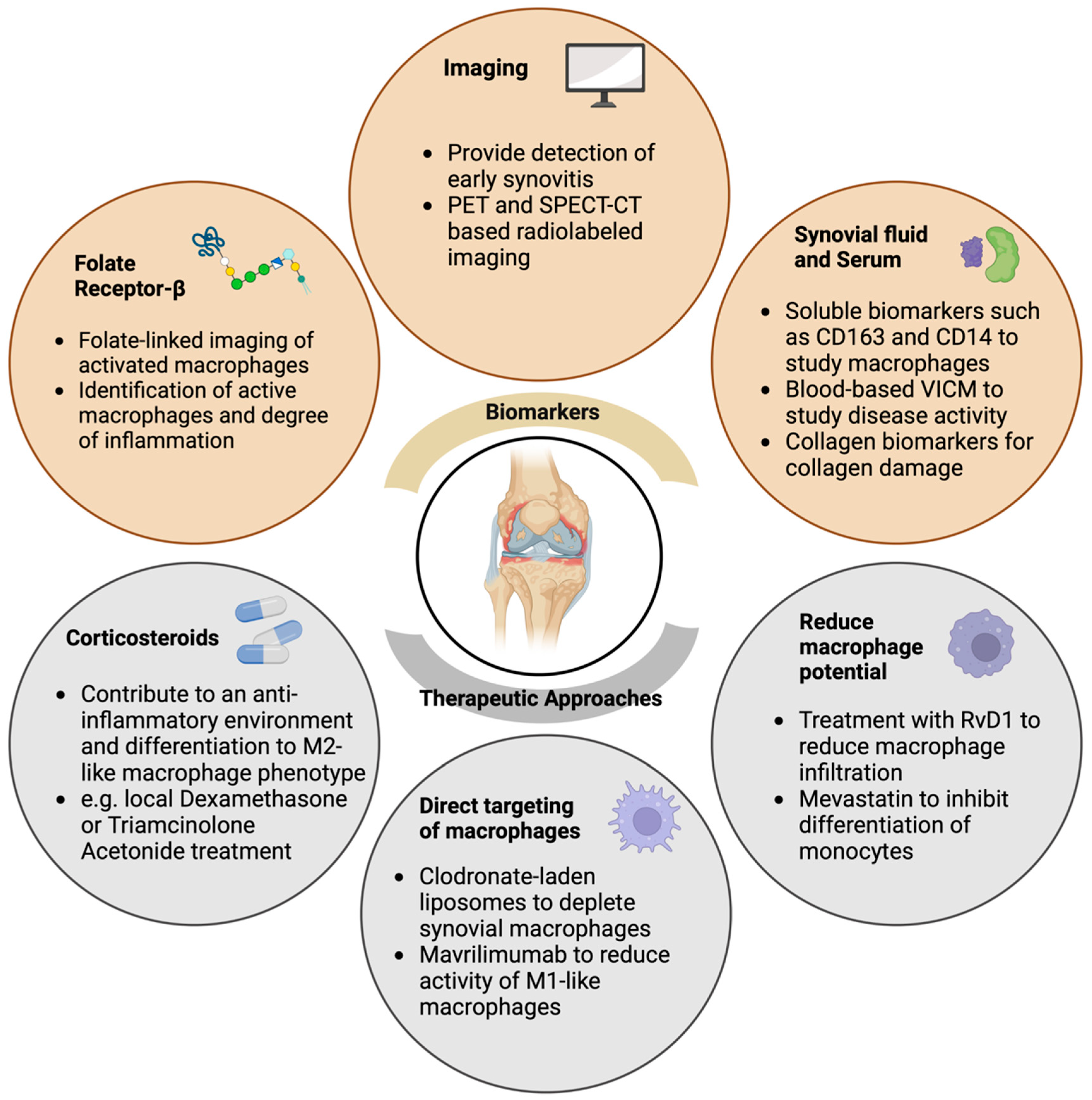 Ijms 24 06112 g002 Ijms 24 06112 g002