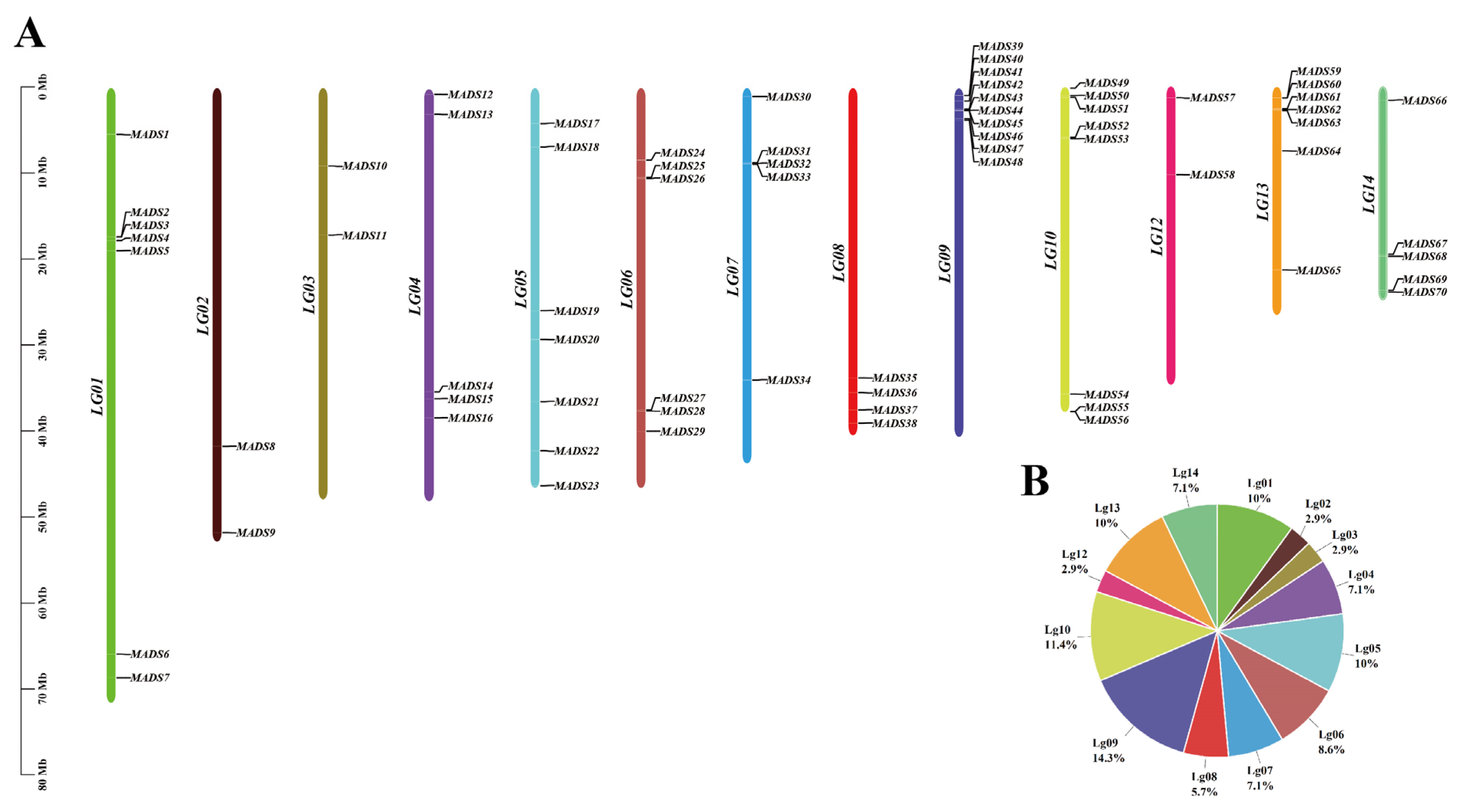 Ijms 24 06114 g002 Ijms 24 06114 g002