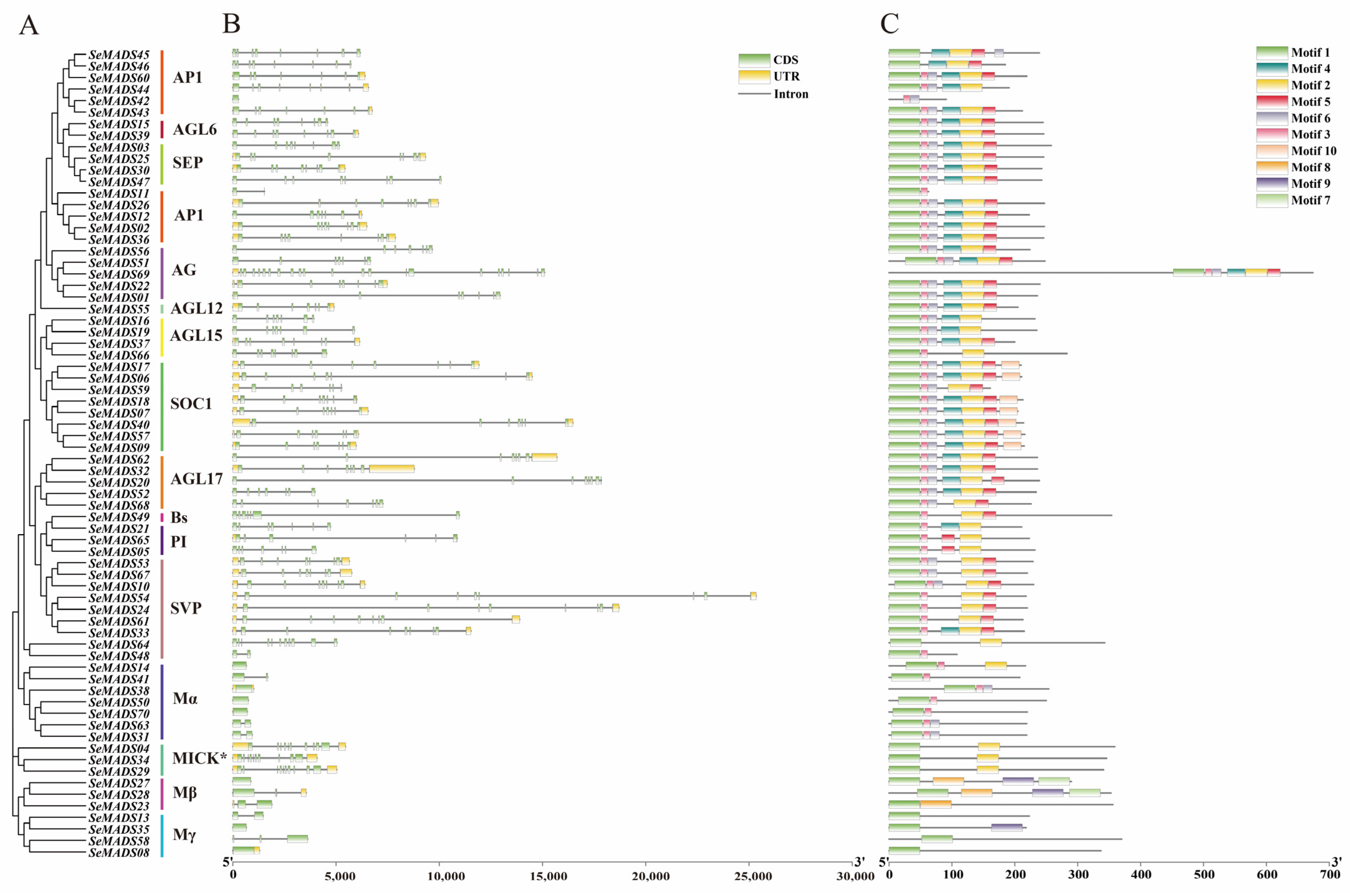 Ijms 24 06114 g003 Ijms 24 06114 g003
