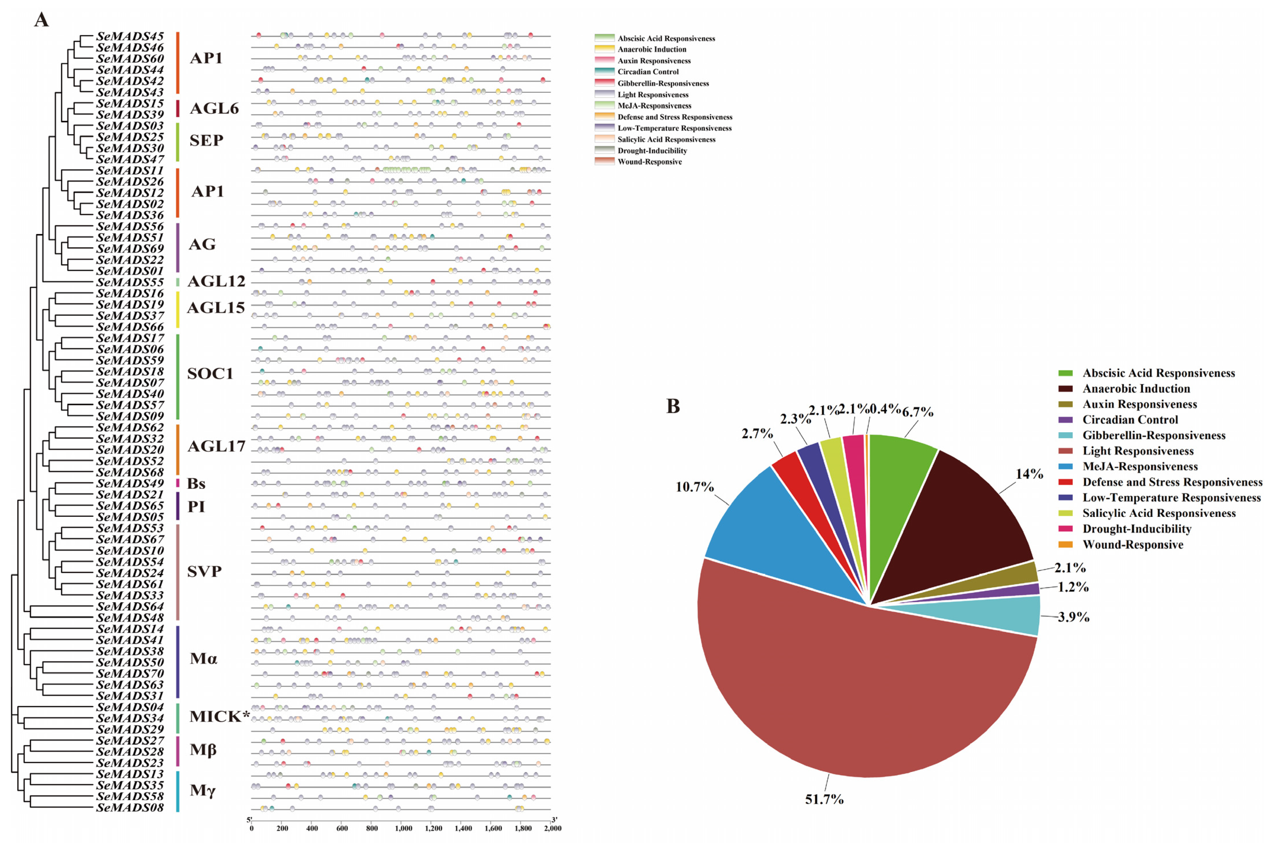 Ijms 24 06114 g004 Ijms 24 06114 g004