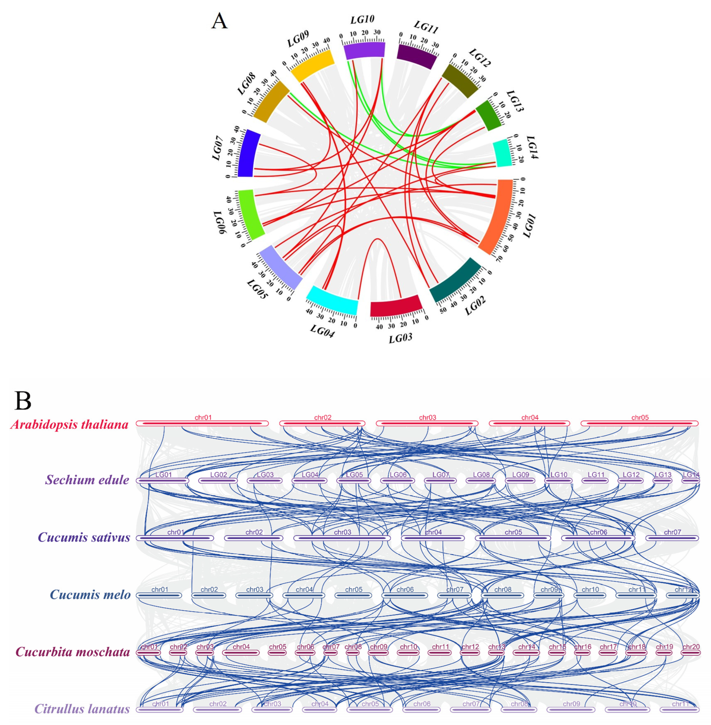 Ijms 24 06114 g005 Ijms 24 06114 g005