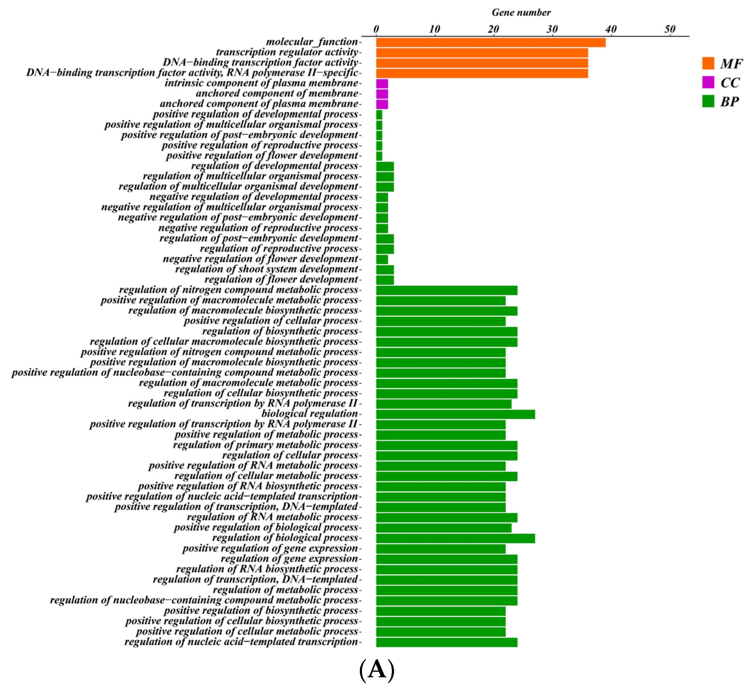 Ijms 24 06114 g006a Ijms 24 06114 g006a