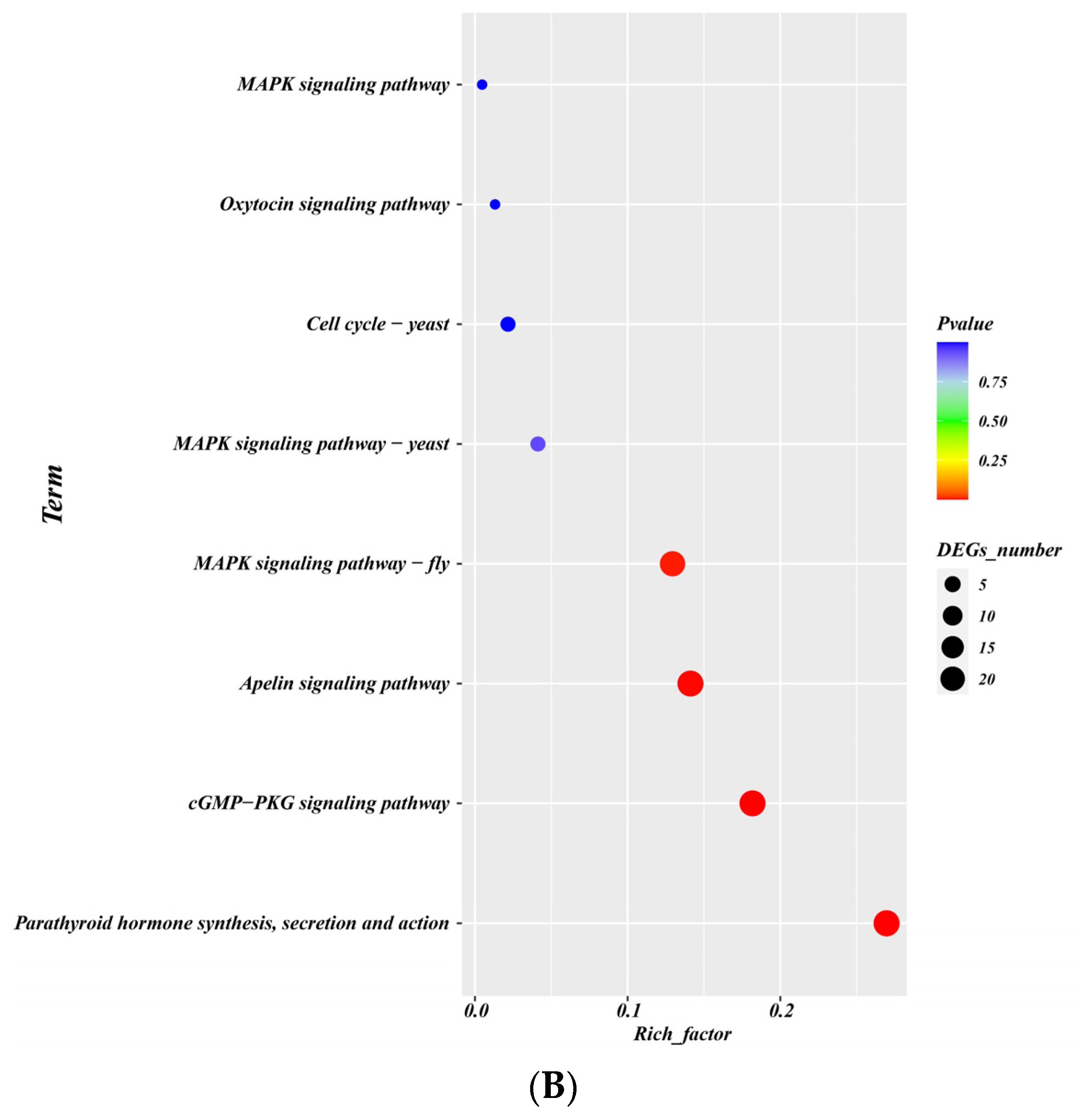 Ijms 24 06114 g006b Ijms 24 06114 g006b