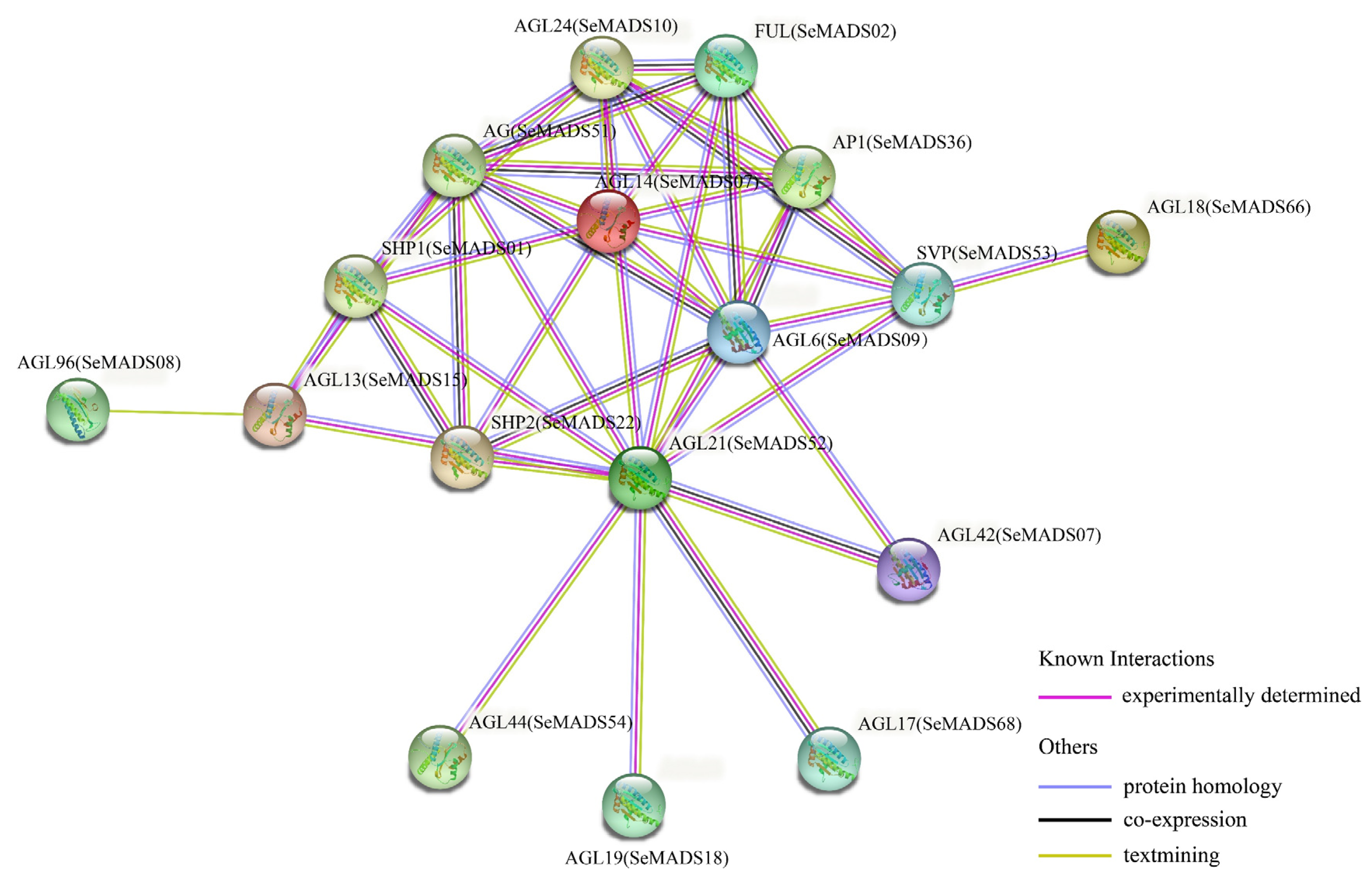 Ijms 24 06114 g007 Ijms 24 06114 g007
