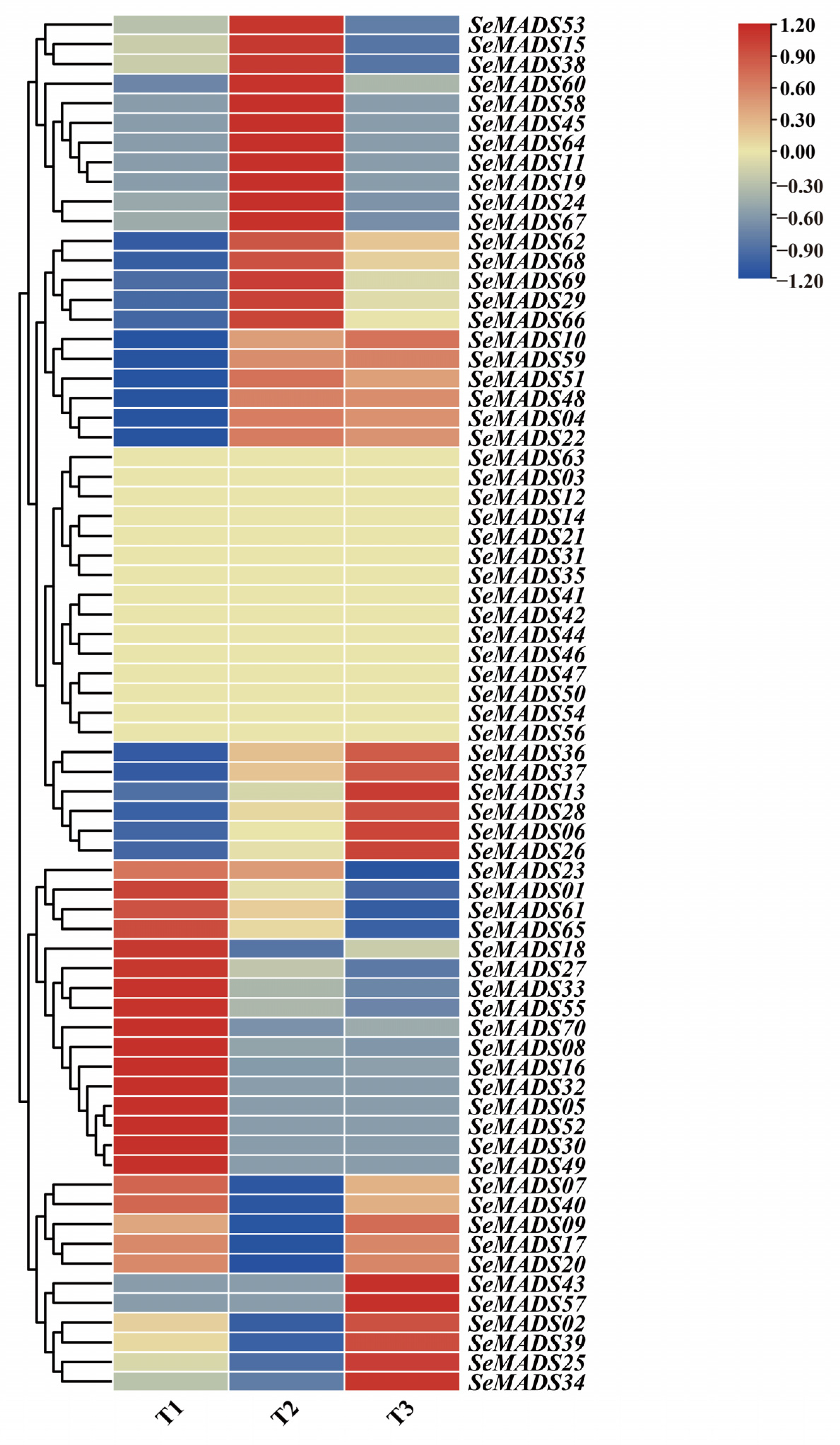 Ijms 24 06114 g008 Ijms 24 06114 g008