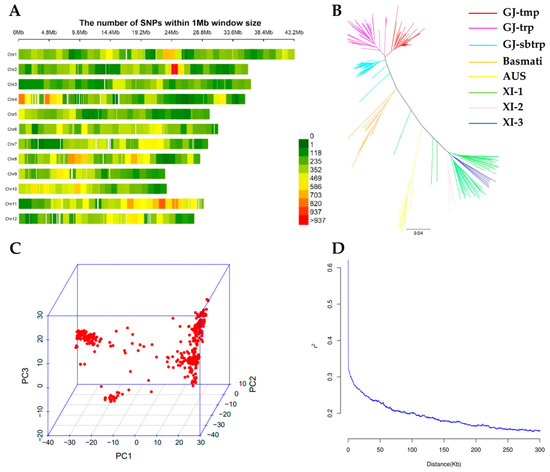 6117 50本セット Genome-Wide Association Study for Seed Dormancy Using Re