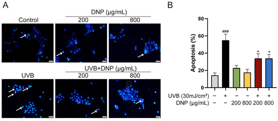 Photoprotective Effects of Dendrobium nobile Lindl