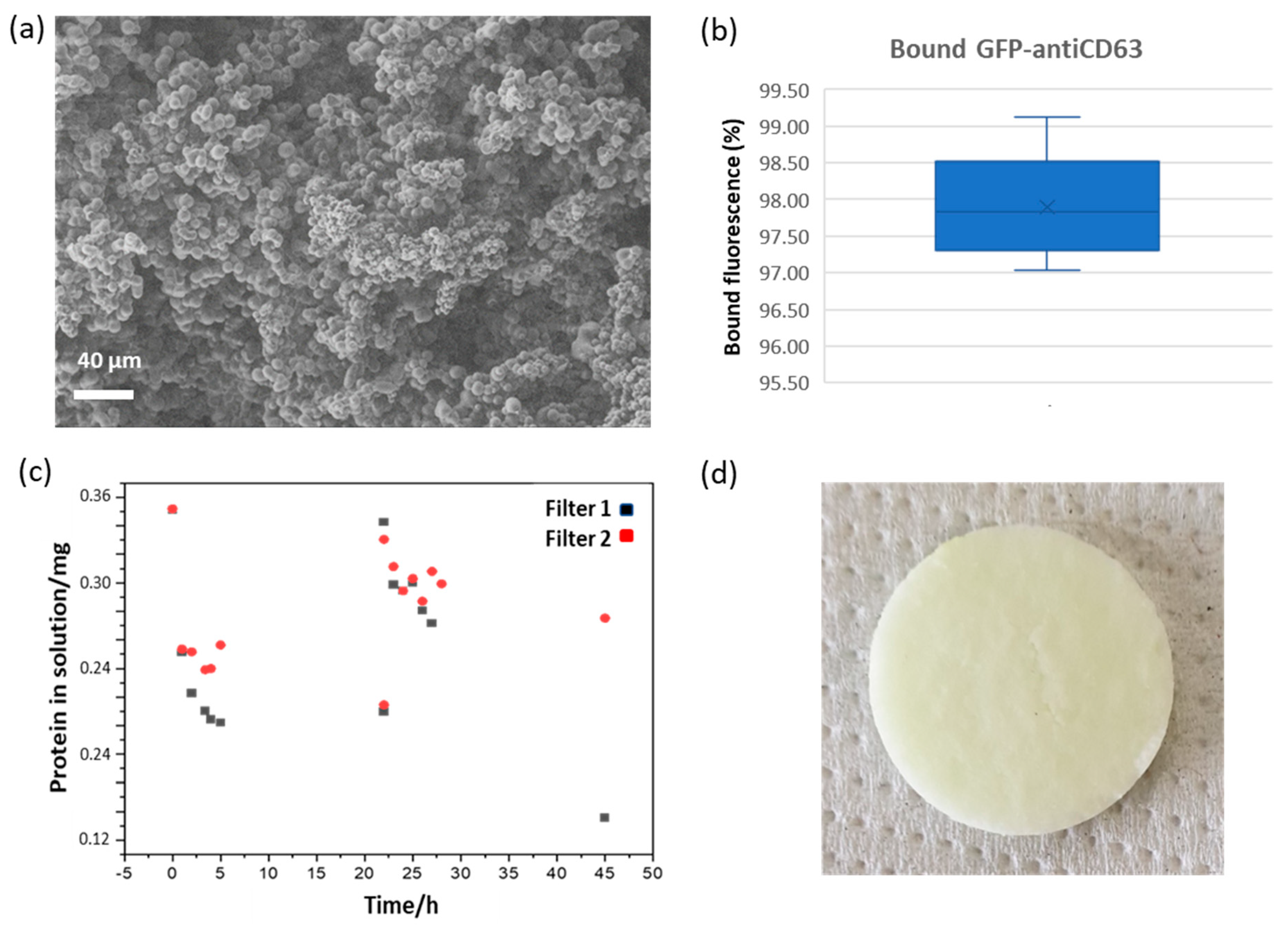 Ijms 24 06131 g001 Ijms 24 06131 g001