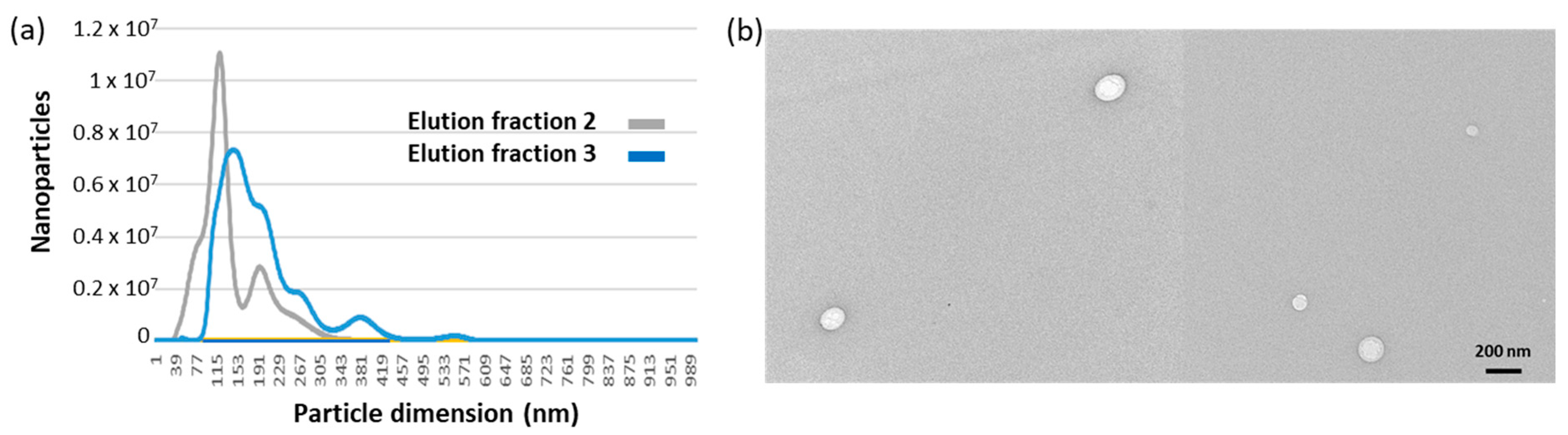 Ijms 24 06131 g003 Ijms 24 06131 g003