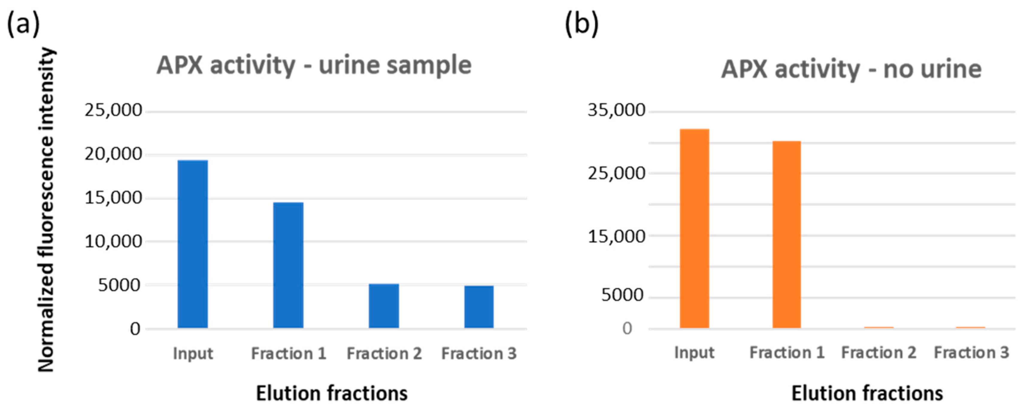Ijms 24 06131 g004 Ijms 24 06131 g004