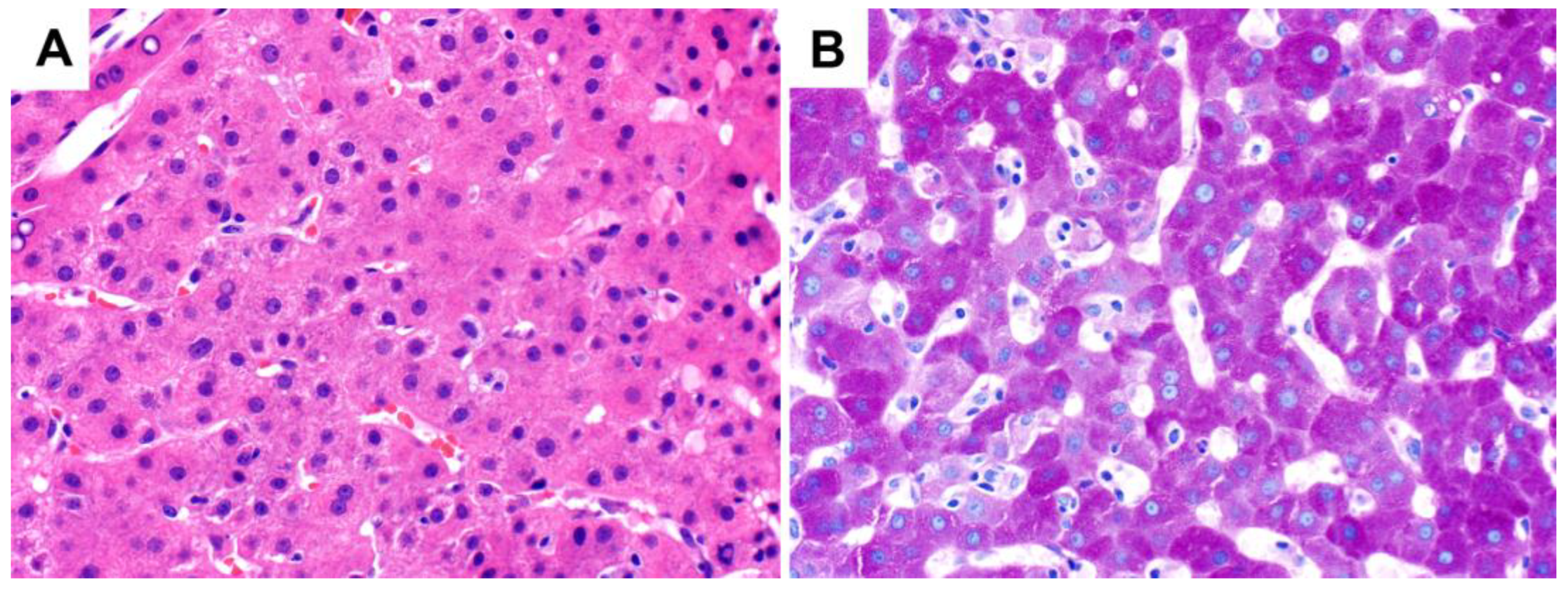 Ijms 24 06133 g001 Ijms 24 06133 g001