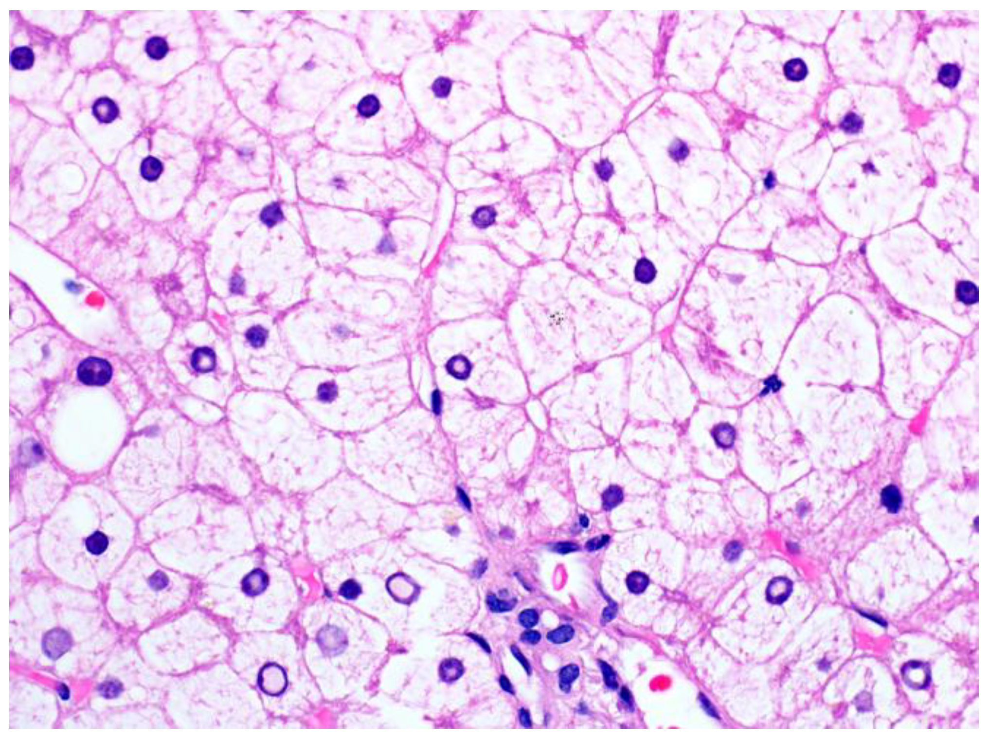 Ijms 24 06133 g003 Ijms 24 06133 g003