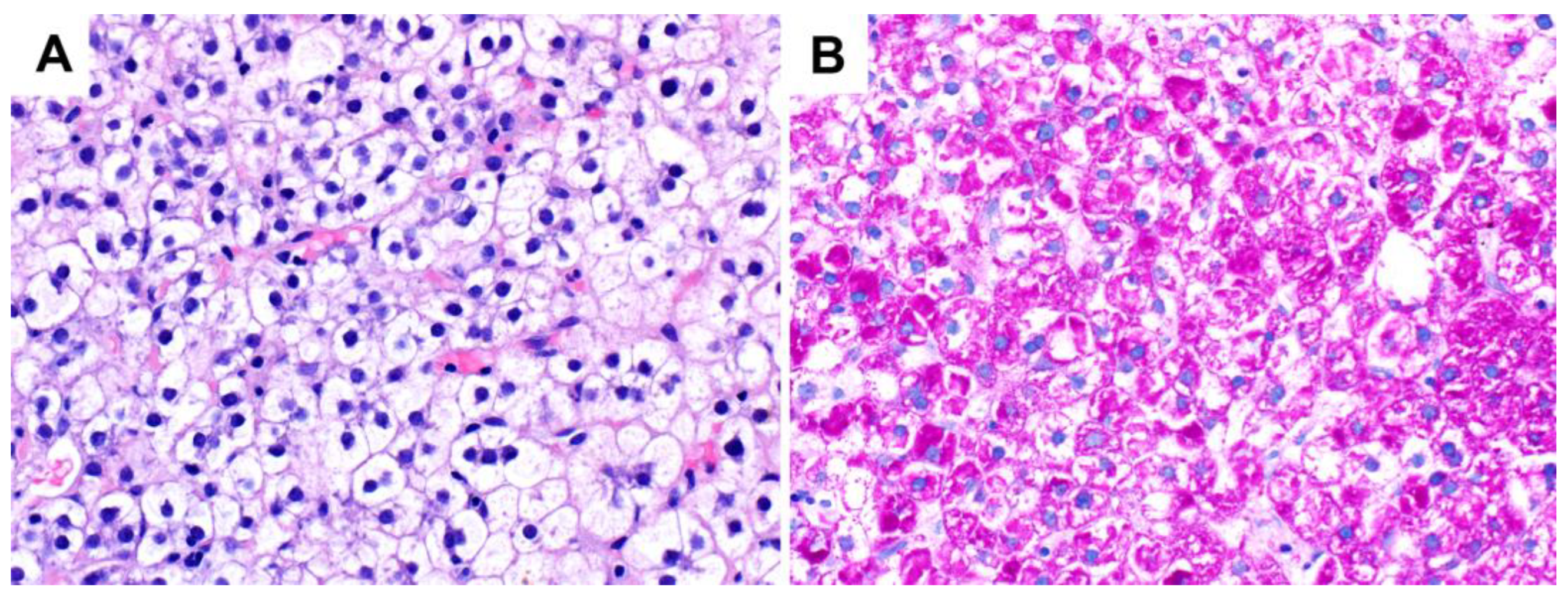 Ijms 24 06133 g007 Ijms 24 06133 g007