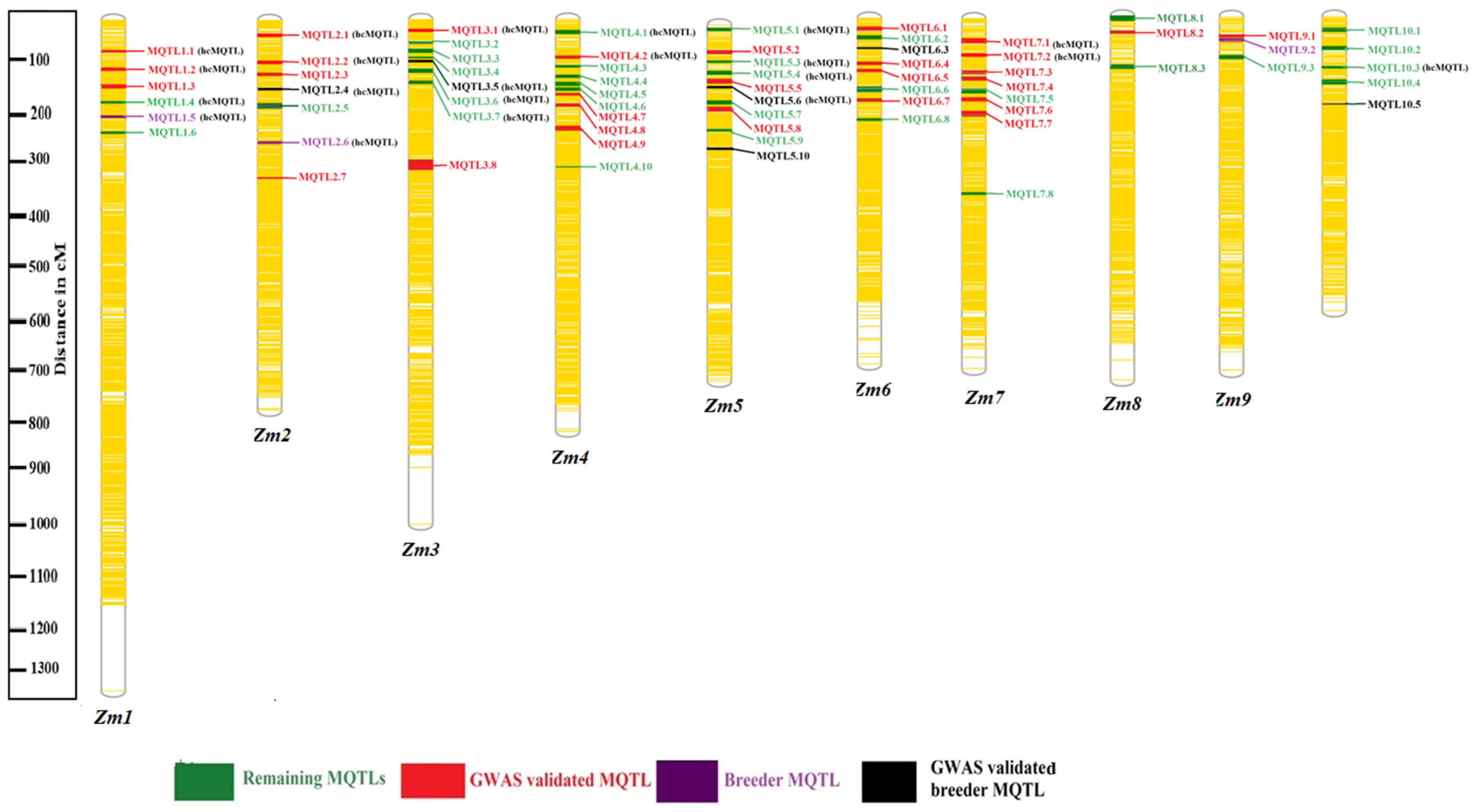 Ijms 24 06135 g004 Ijms 24 06135 g004
