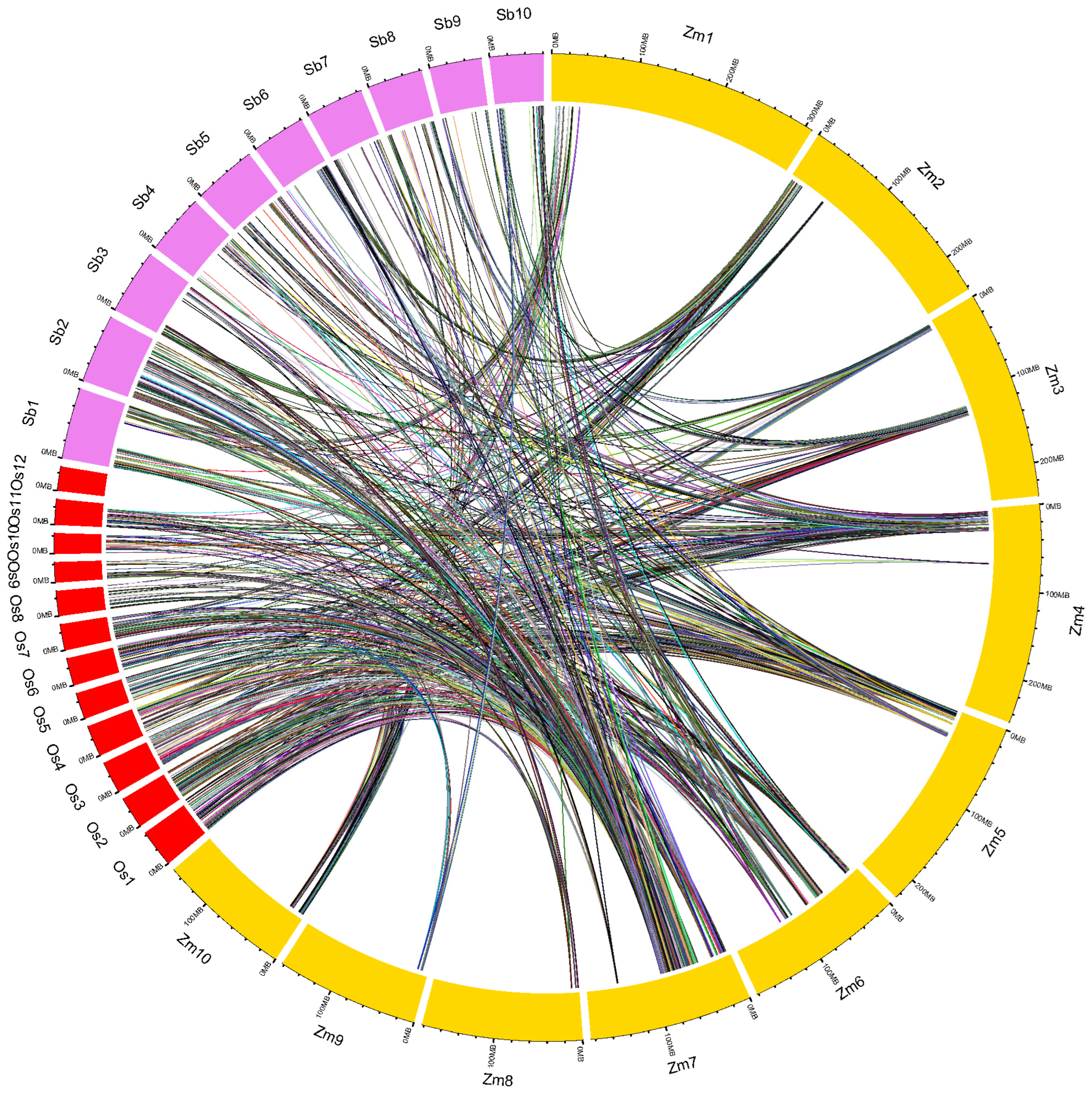 Ijms 24 06135 g005 Ijms 24 06135 g005