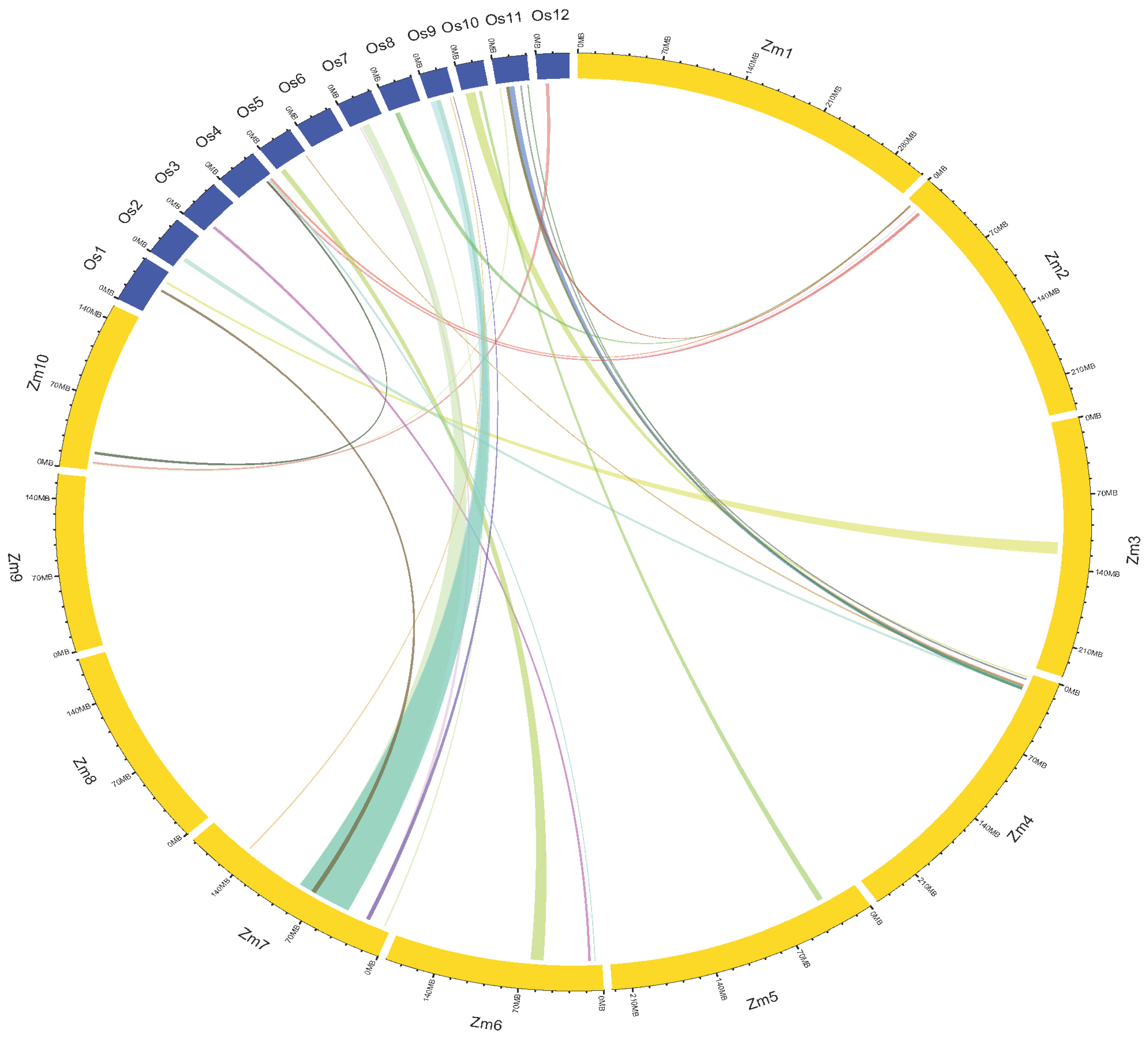 Ijms 24 06135 g006 Ijms 24 06135 g006