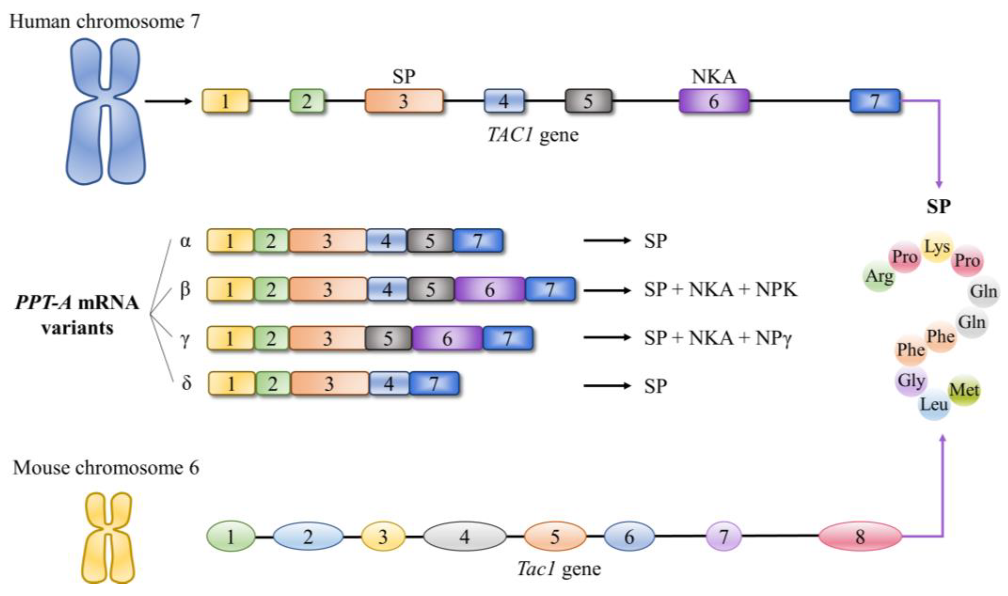 Ijms 24 06140 g002 Ijms 24 06140 g002