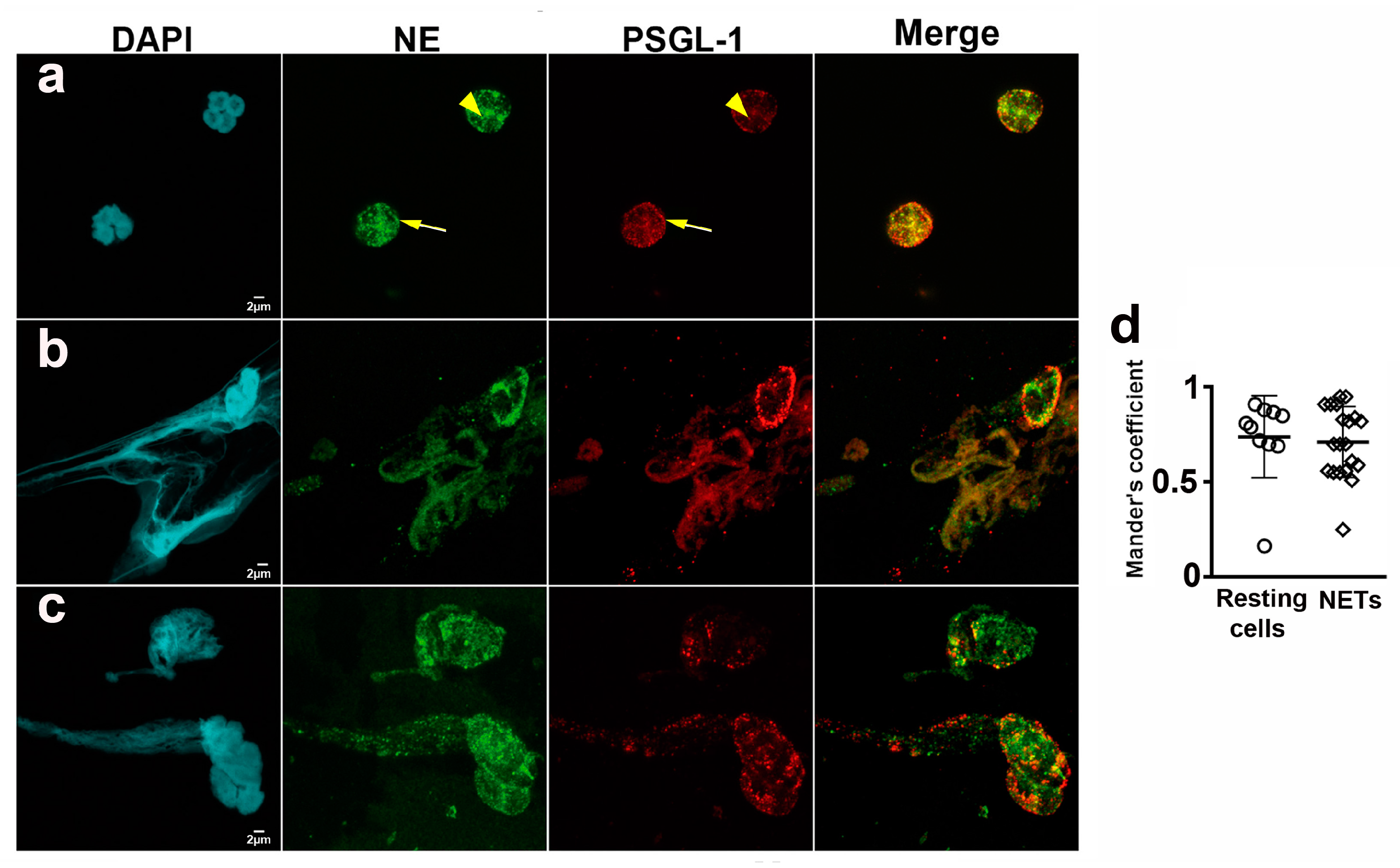 Ijms 24 06144 g002 Ijms 24 06144 g002