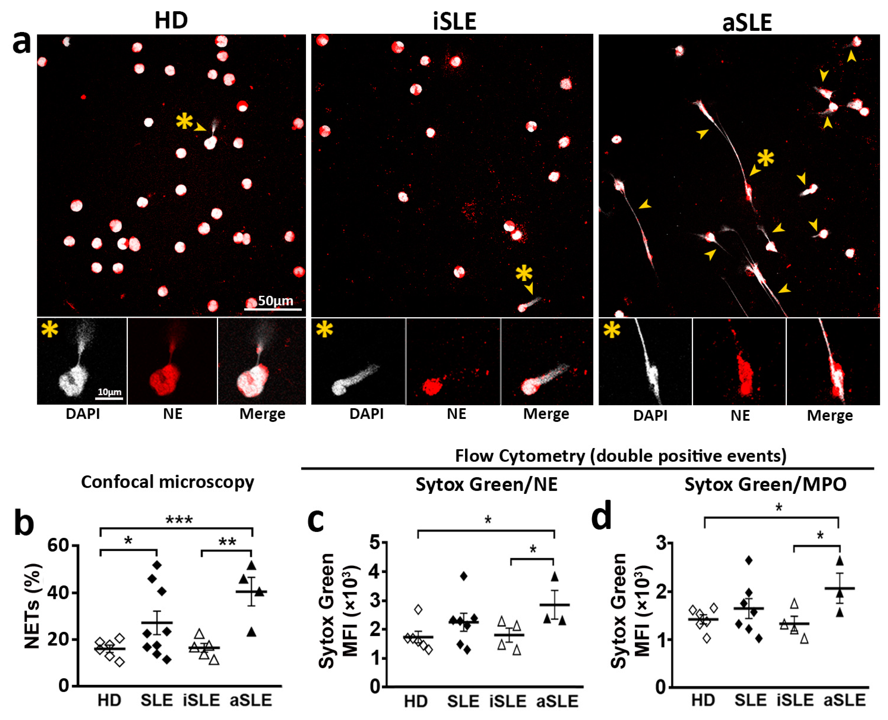 Ijms 24 06144 g003 Ijms 24 06144 g003