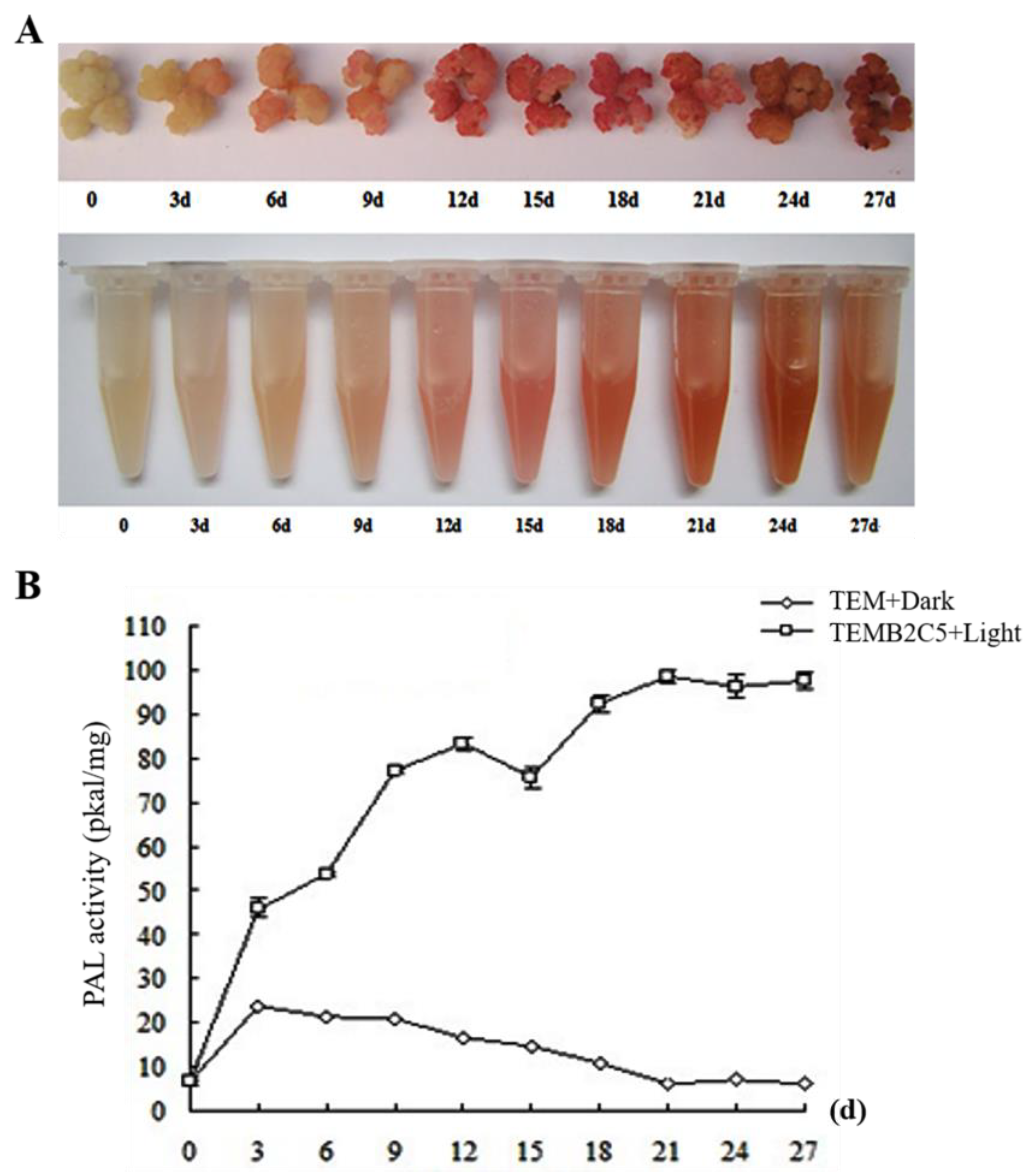 Ijms 24 06149 g001 Ijms 24 06149 g001