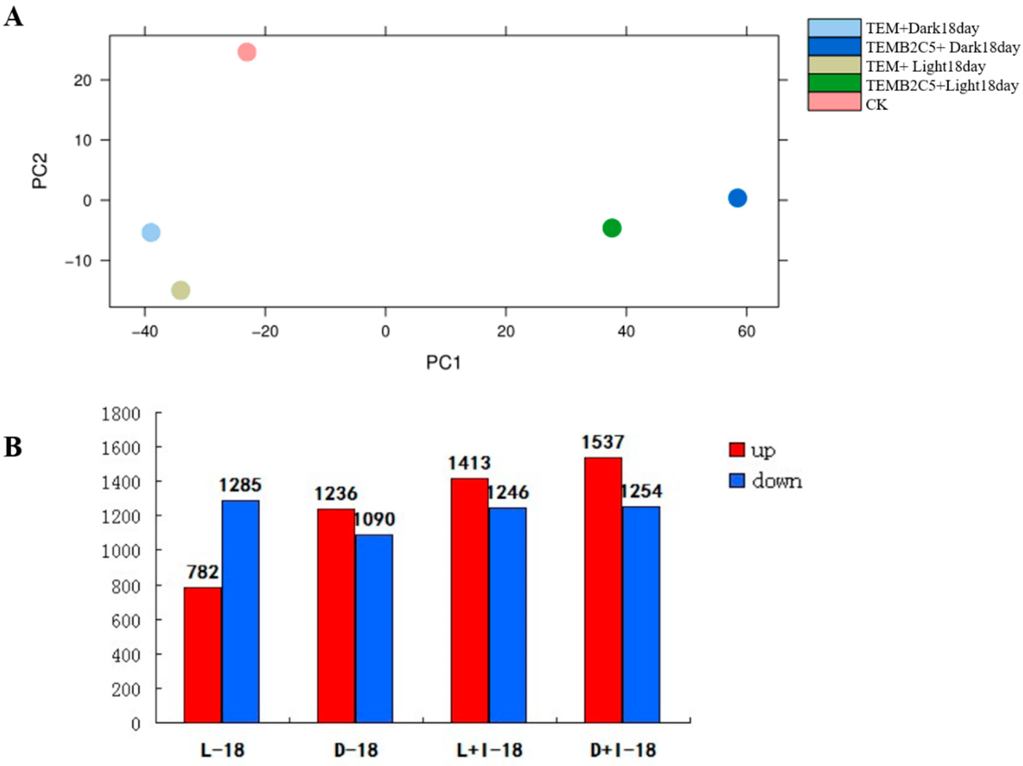 Ijms 24 06149 g002 Ijms 24 06149 g002