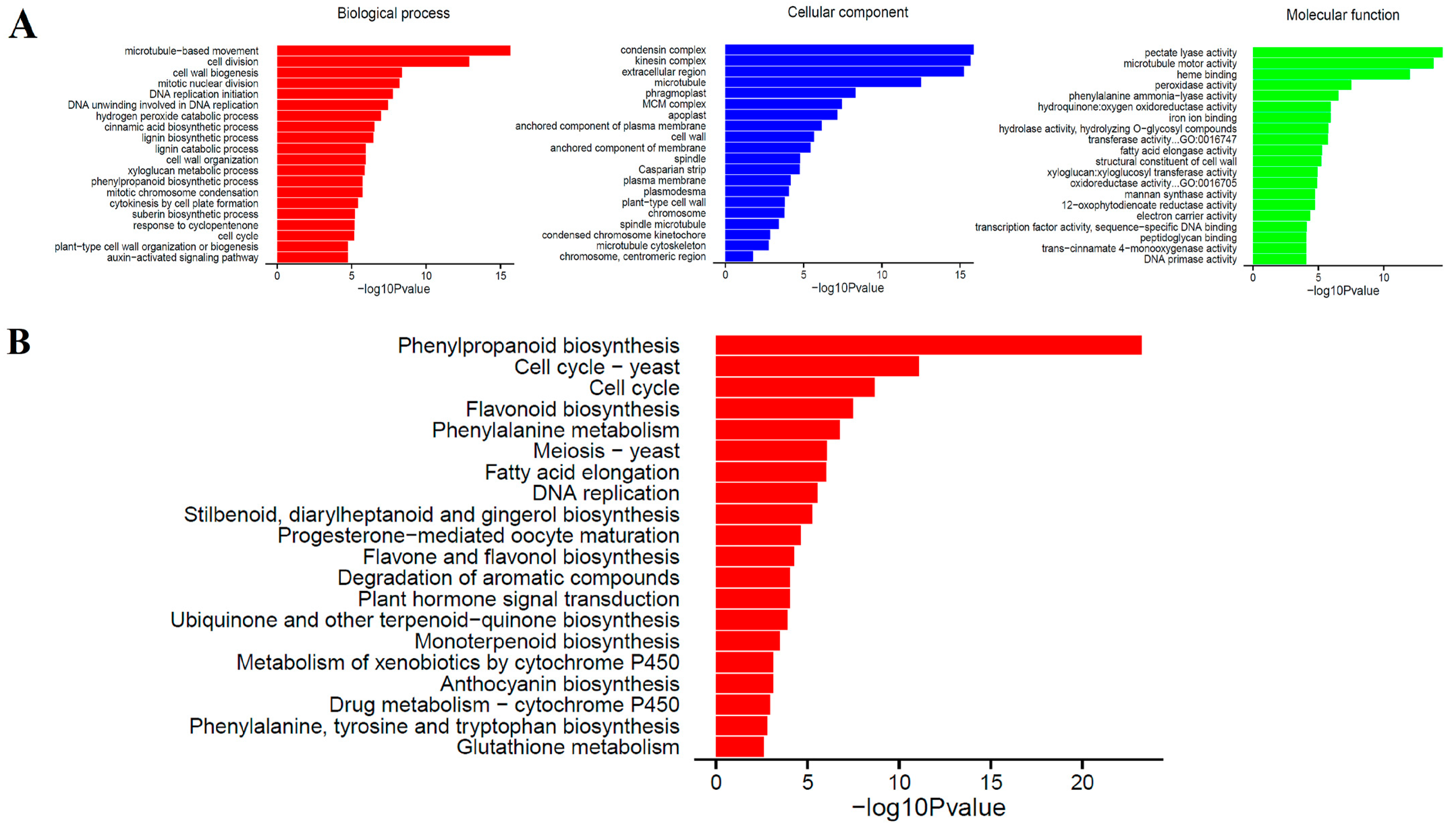 Ijms 24 06149 g003 Ijms 24 06149 g003