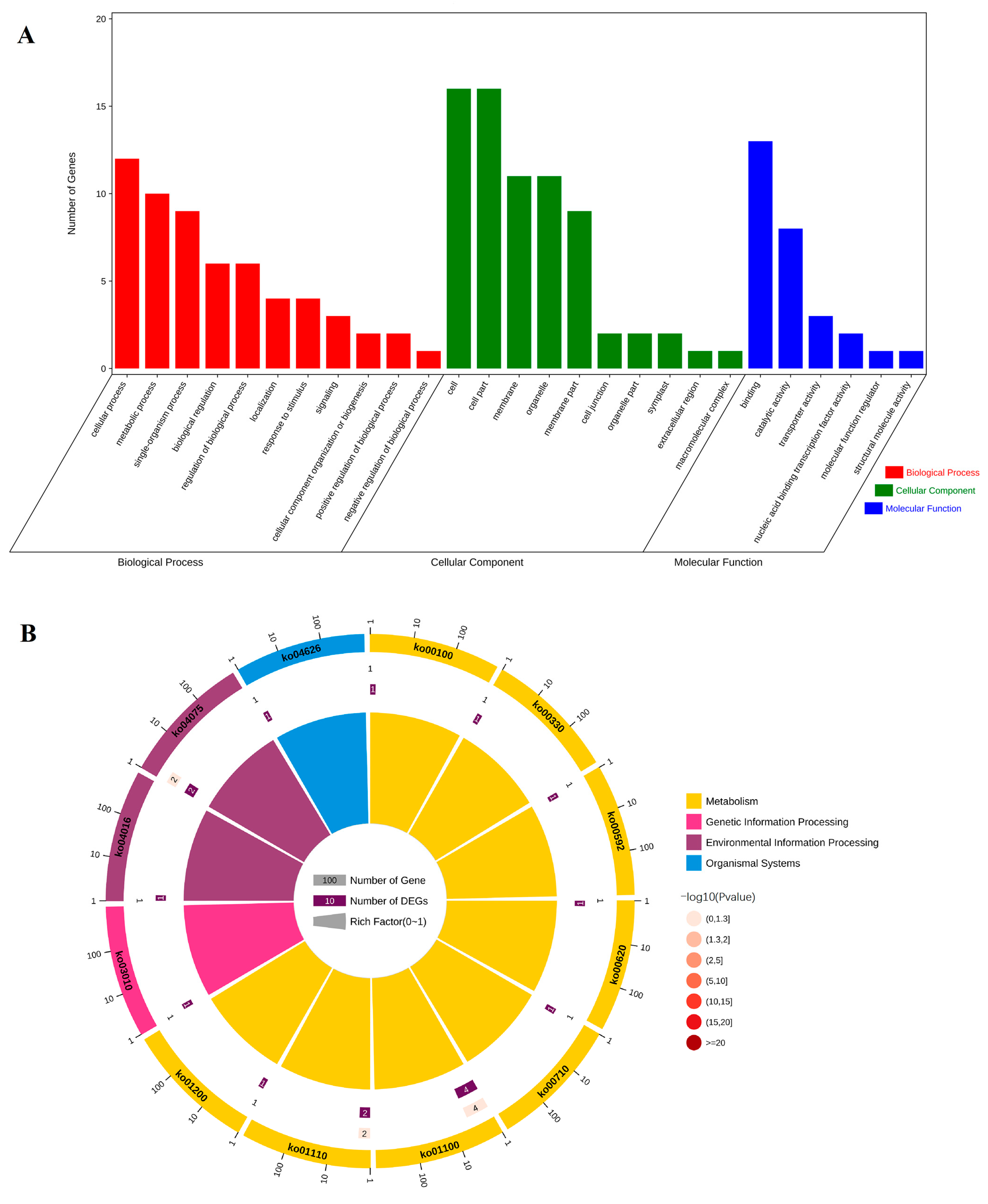 Ijms 24 06149 g007 Ijms 24 06149 g007