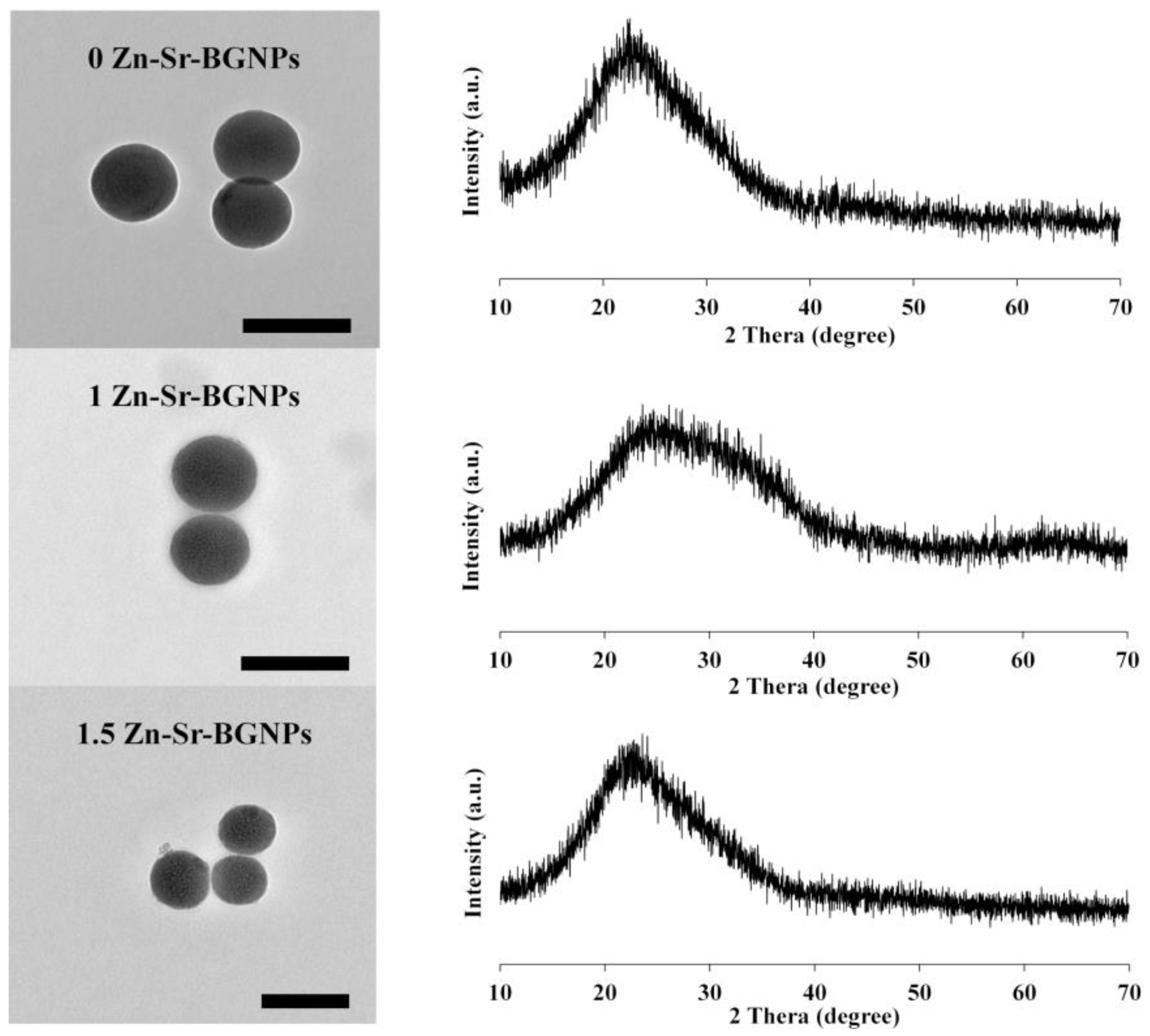 Ijms 24 06150 g001 Ijms 24 06150 g001
