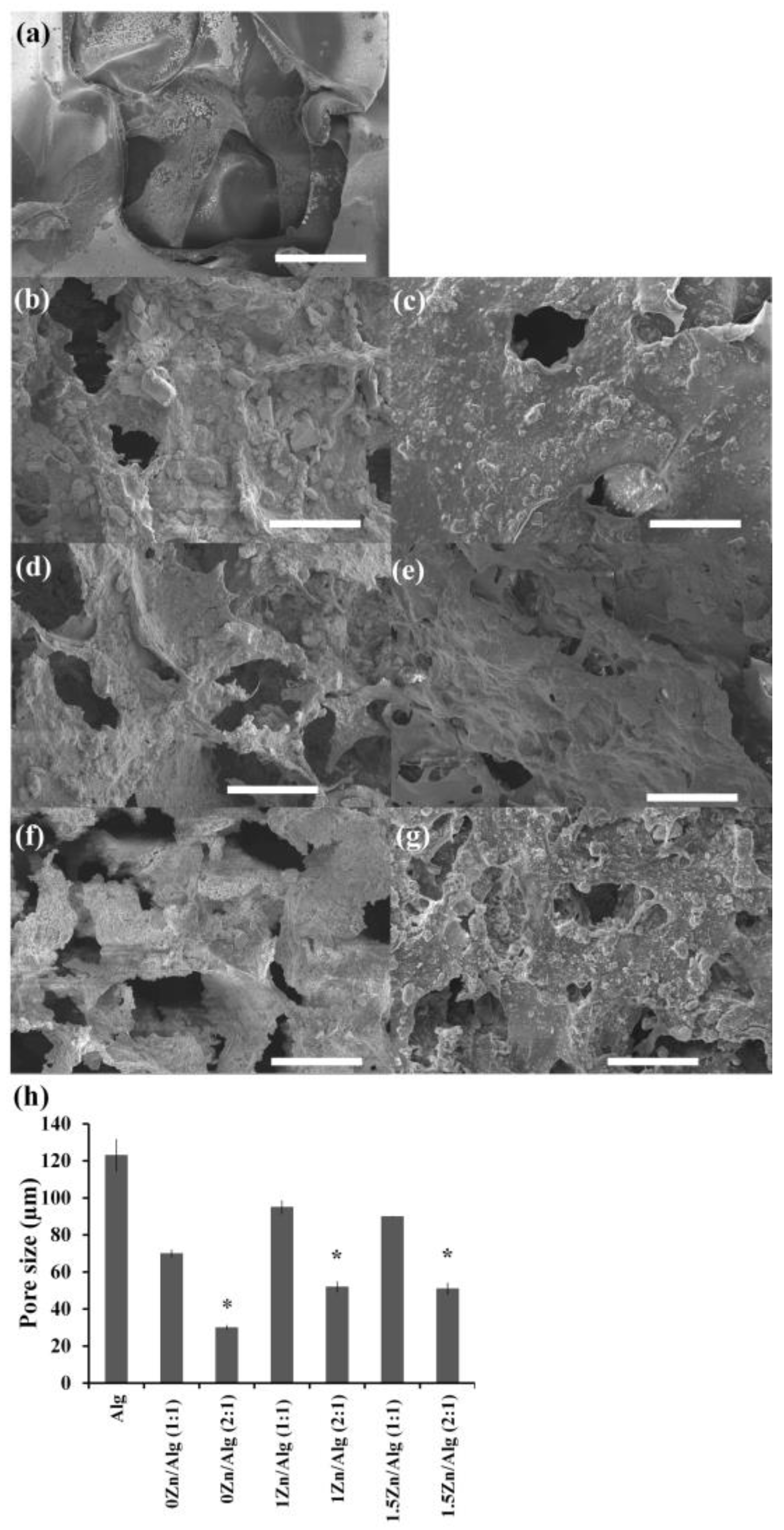 Ijms 24 06150 g002 Ijms 24 06150 g002