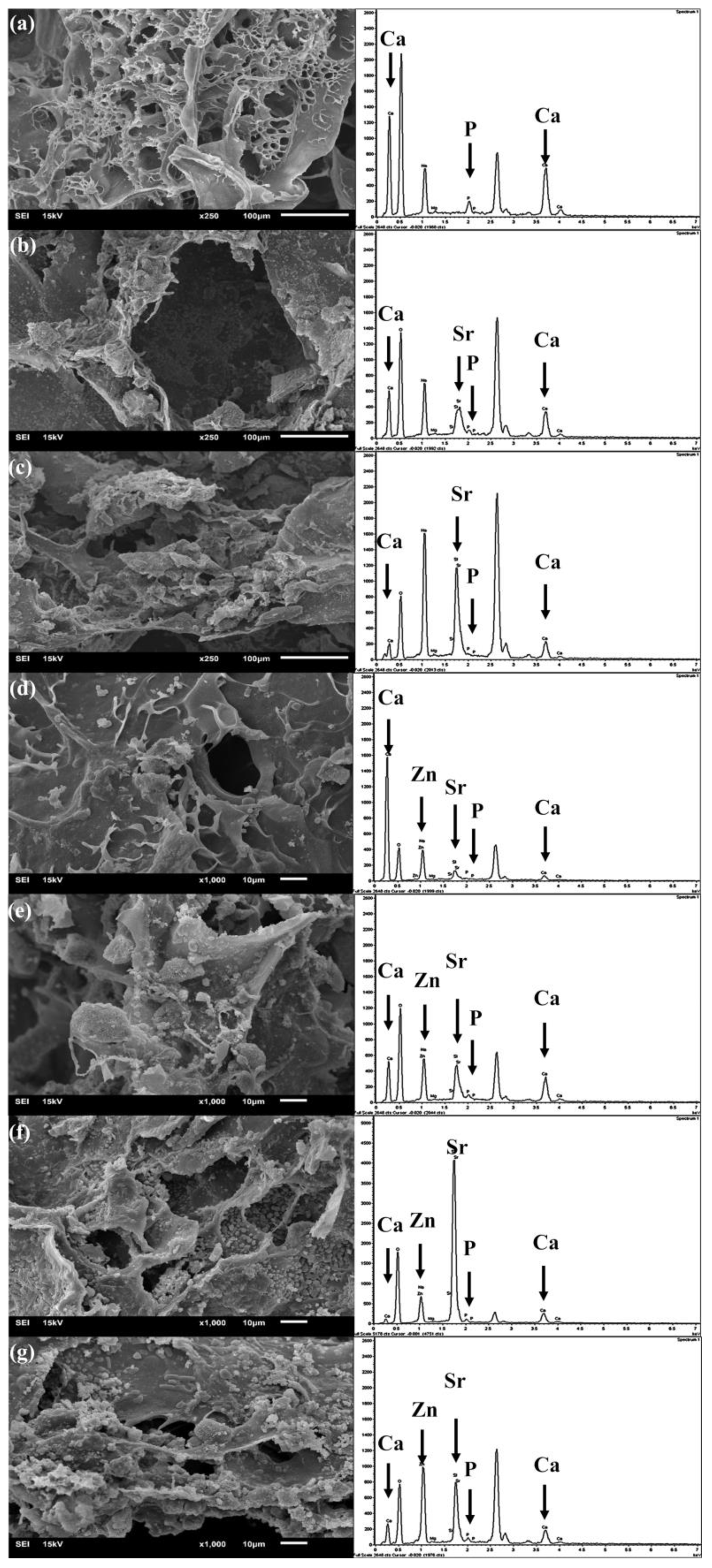 Ijms 24 06150 g006 Ijms 24 06150 g006