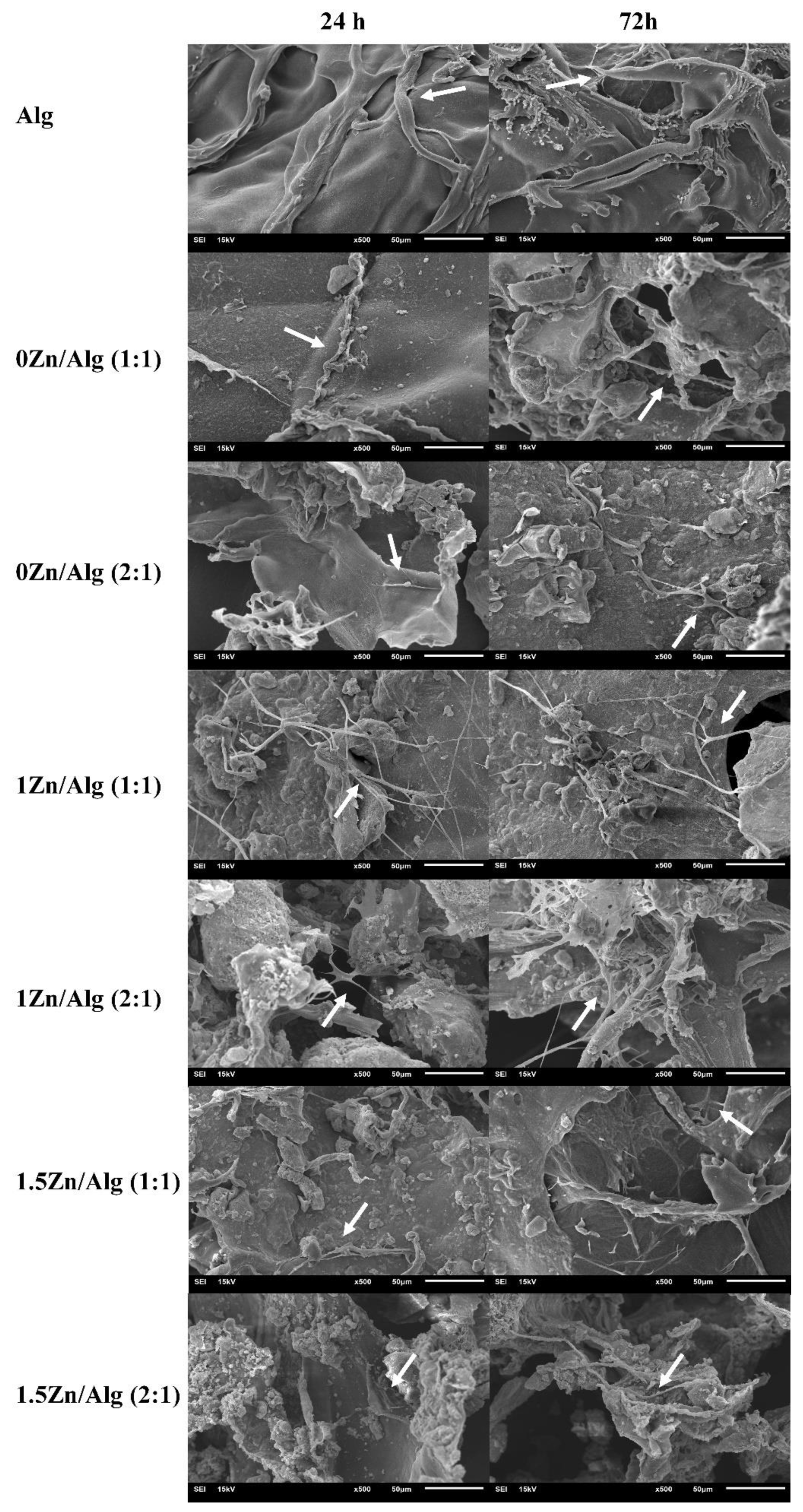 Ijms 24 06150 g008 Ijms 24 06150 g008