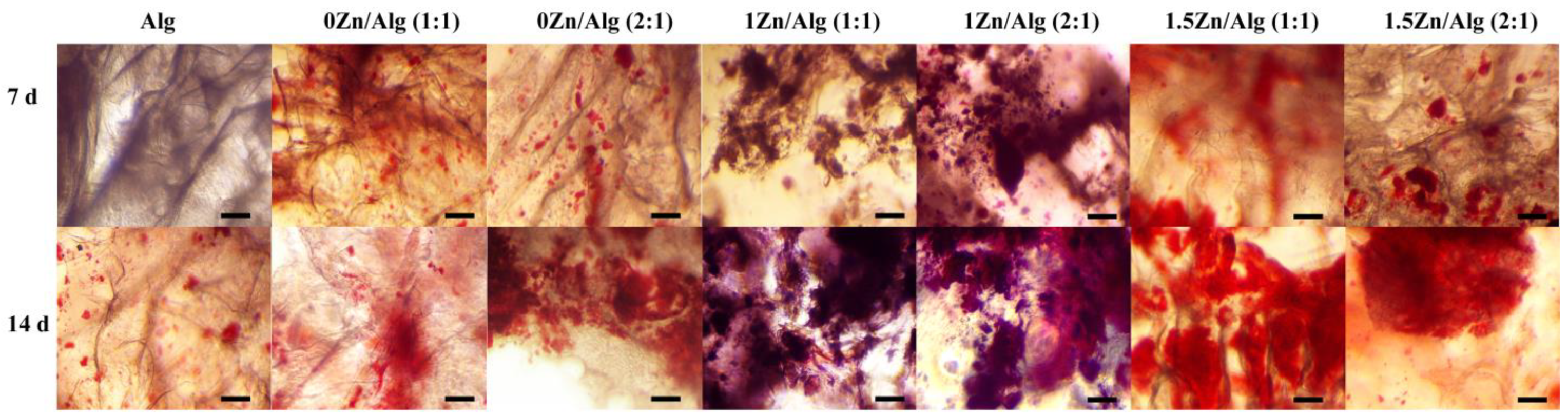 Ijms 24 06150 g009 Ijms 24 06150 g009